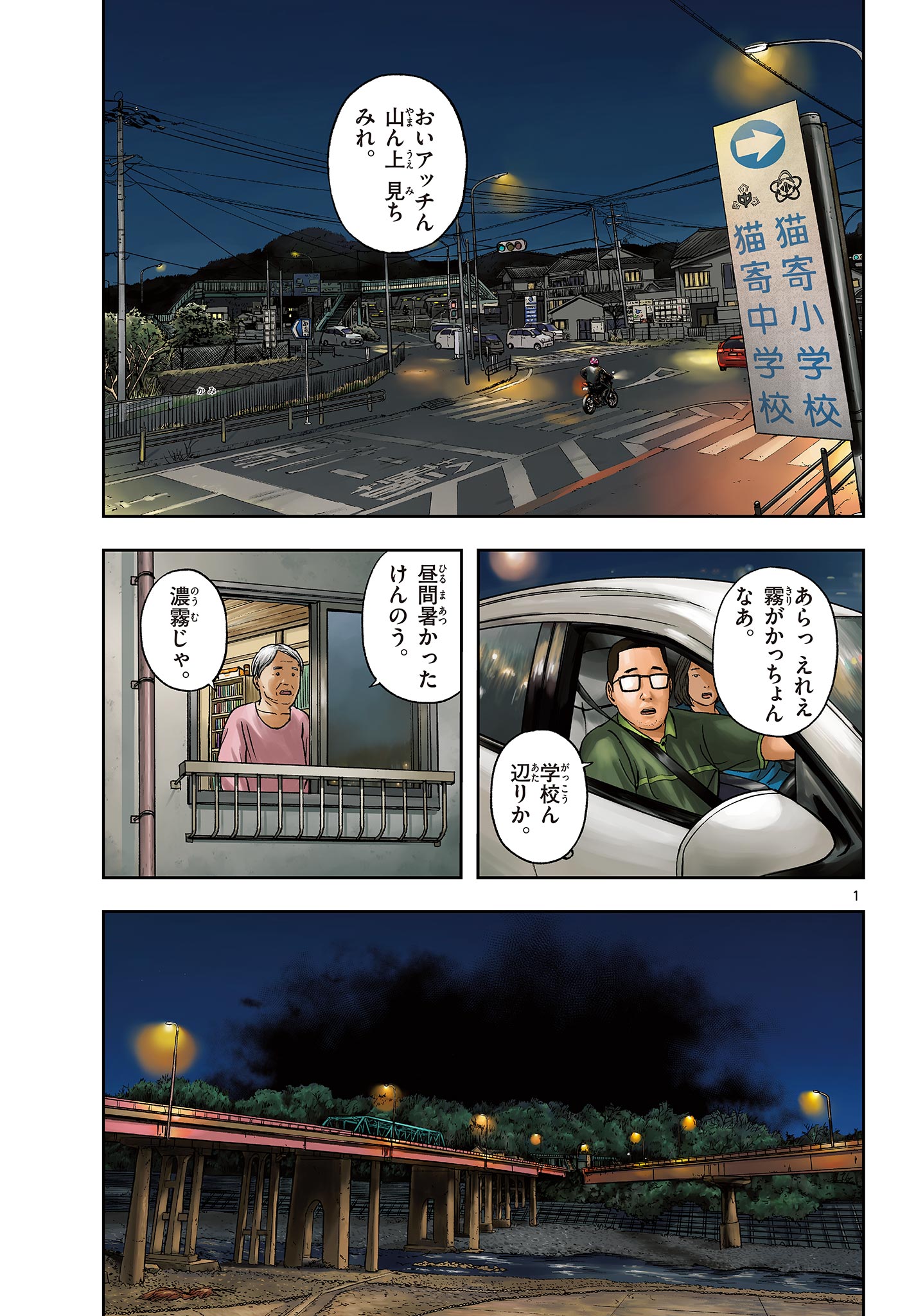 Page 1