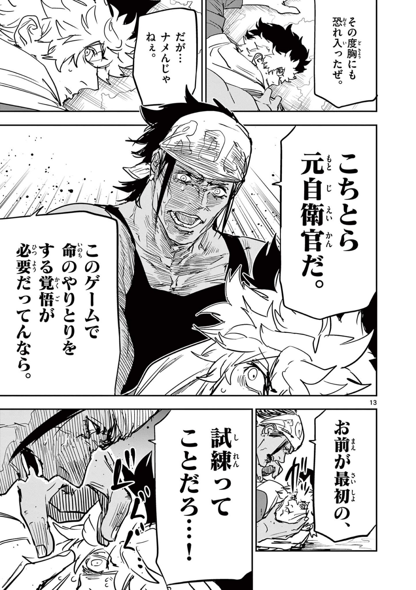 Page 13