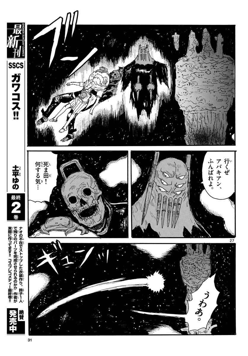 Page 27