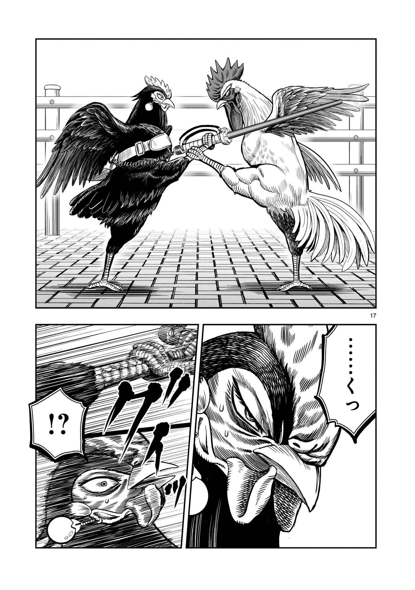 Page 17