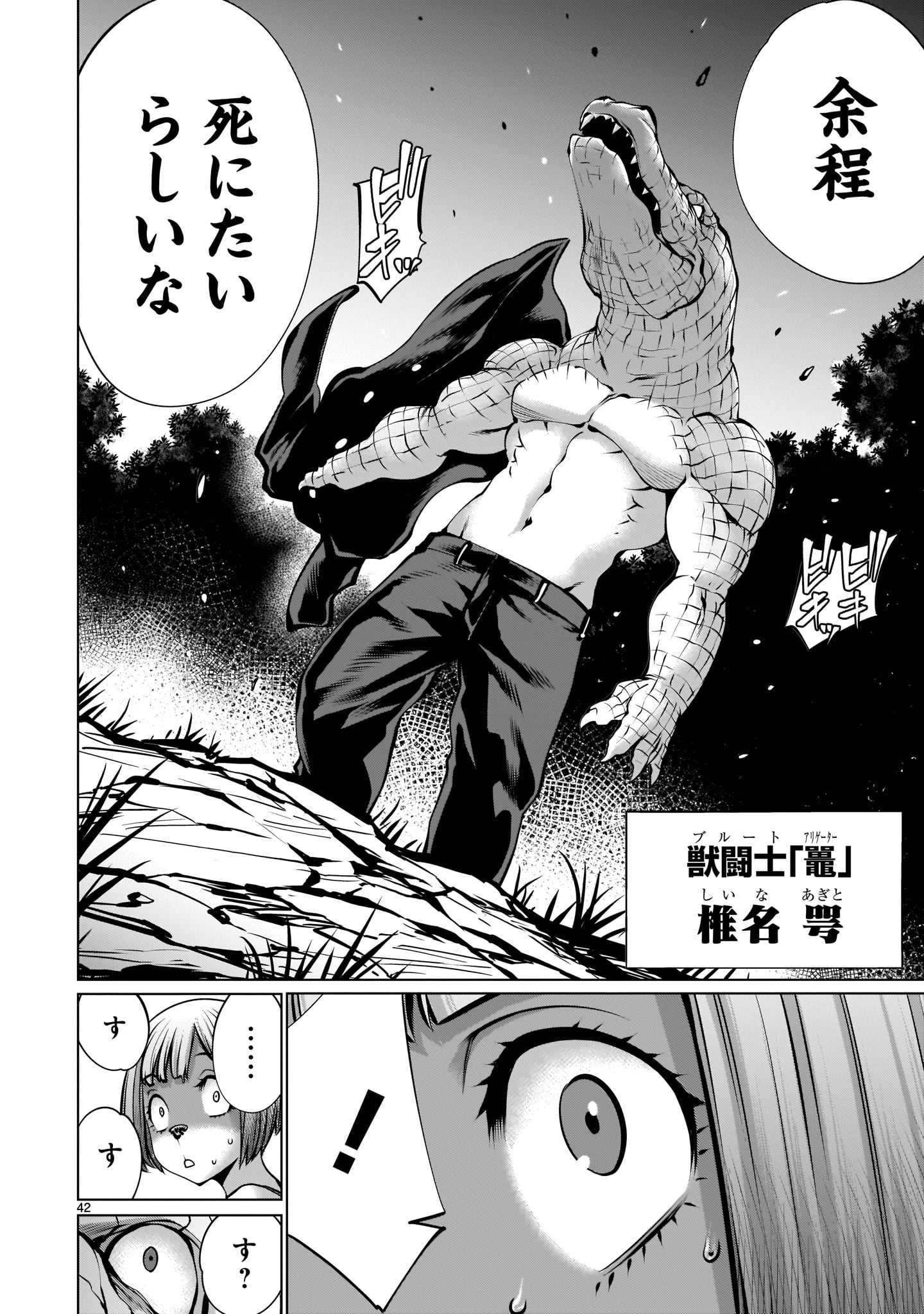 Page 42