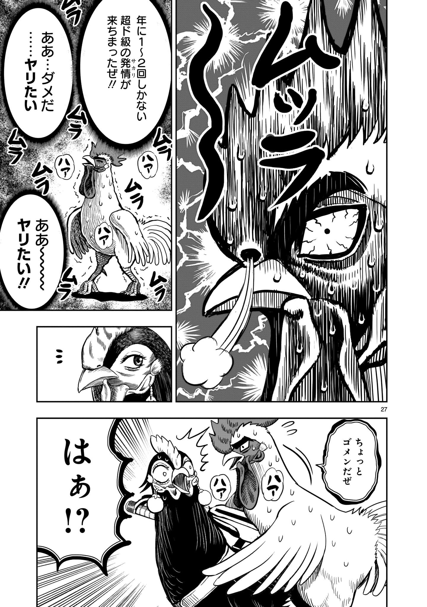 Page 27