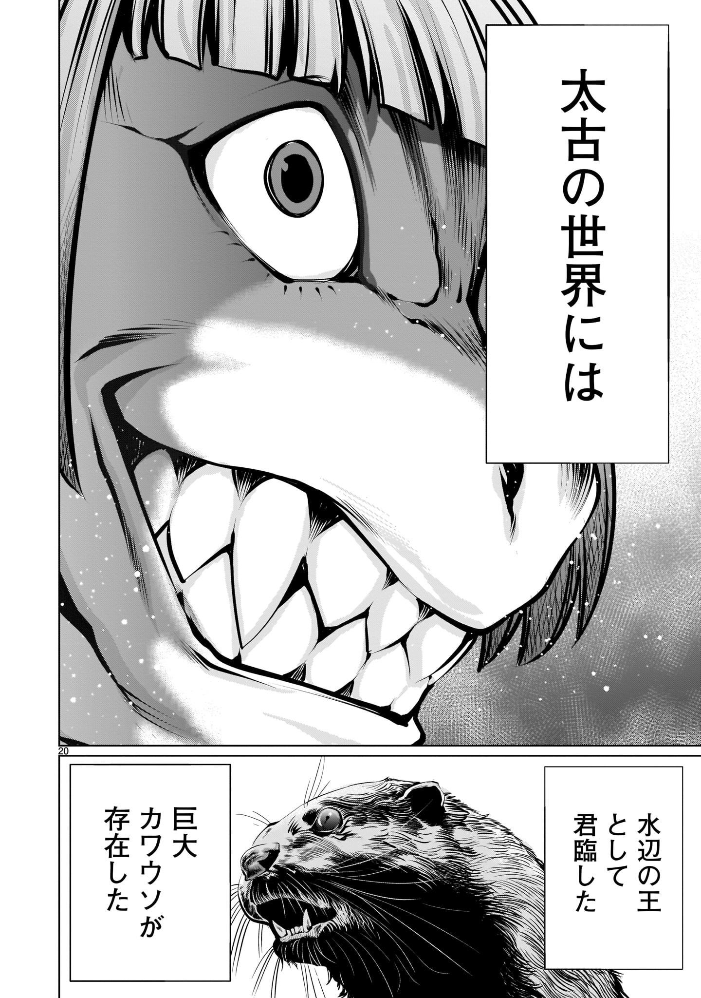 Page 20