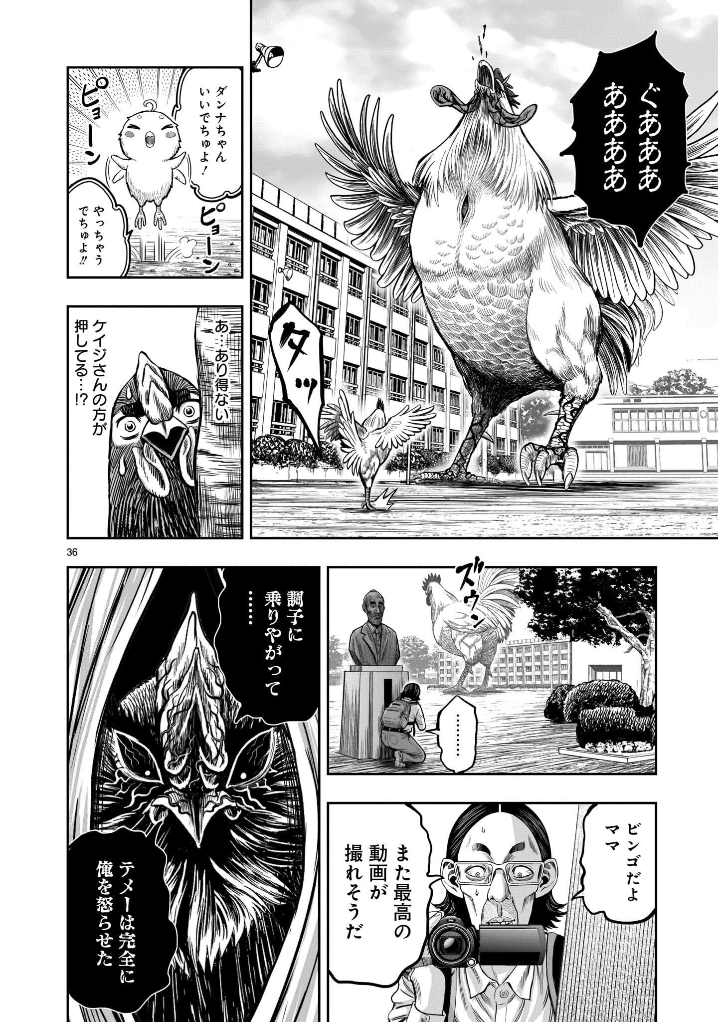 Page 36