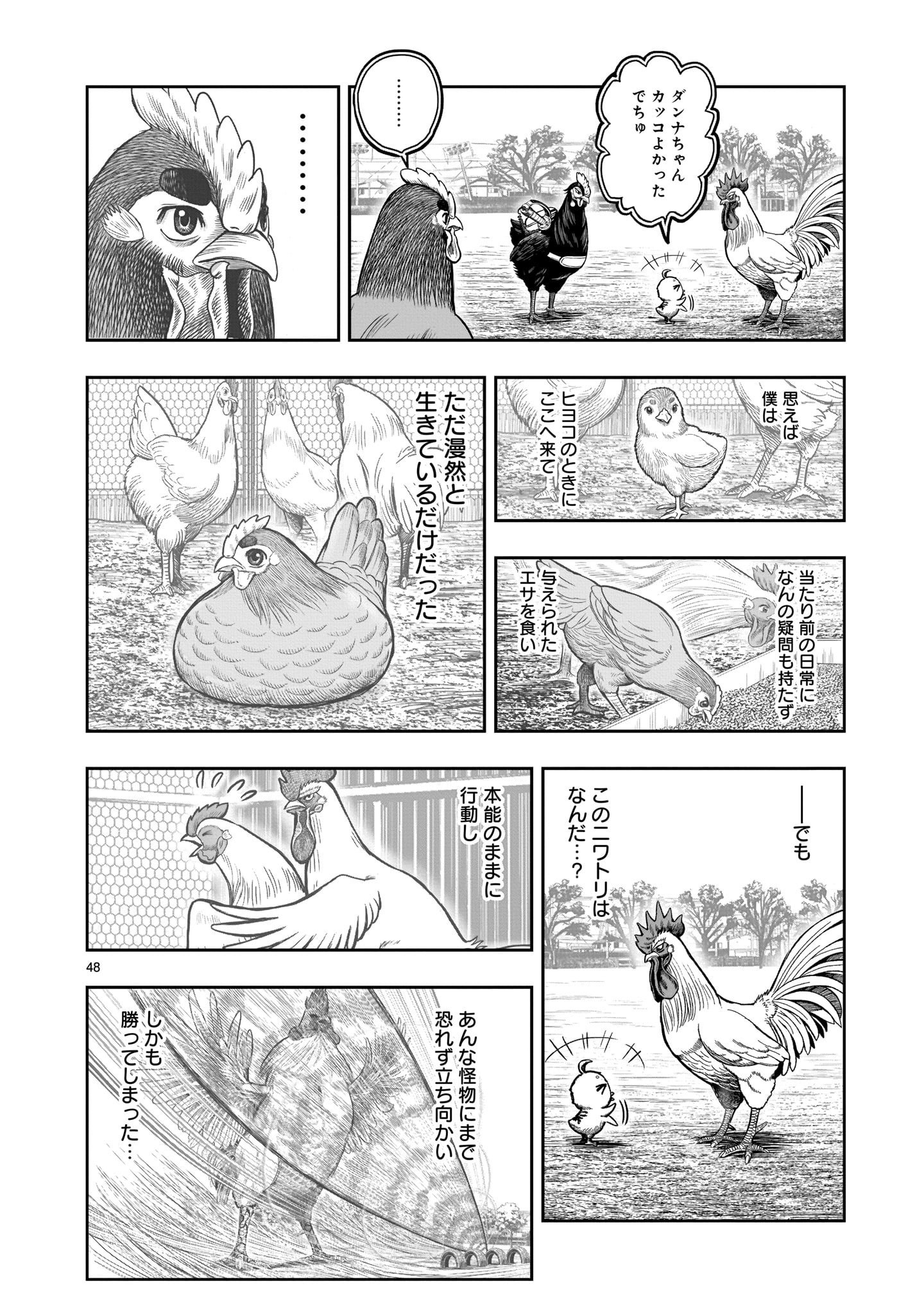 Page 48