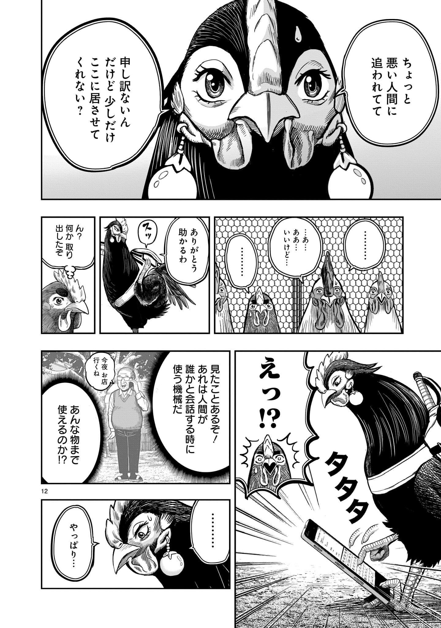 Page 12