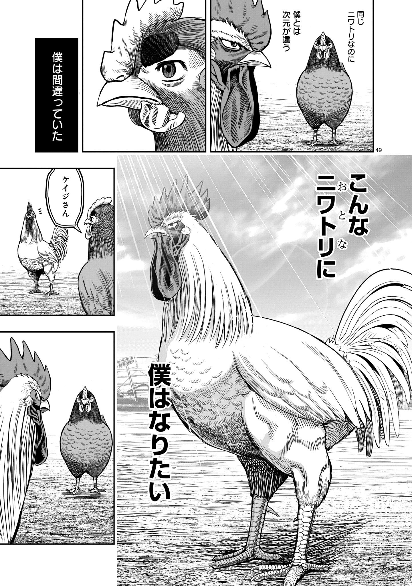 Page 49
