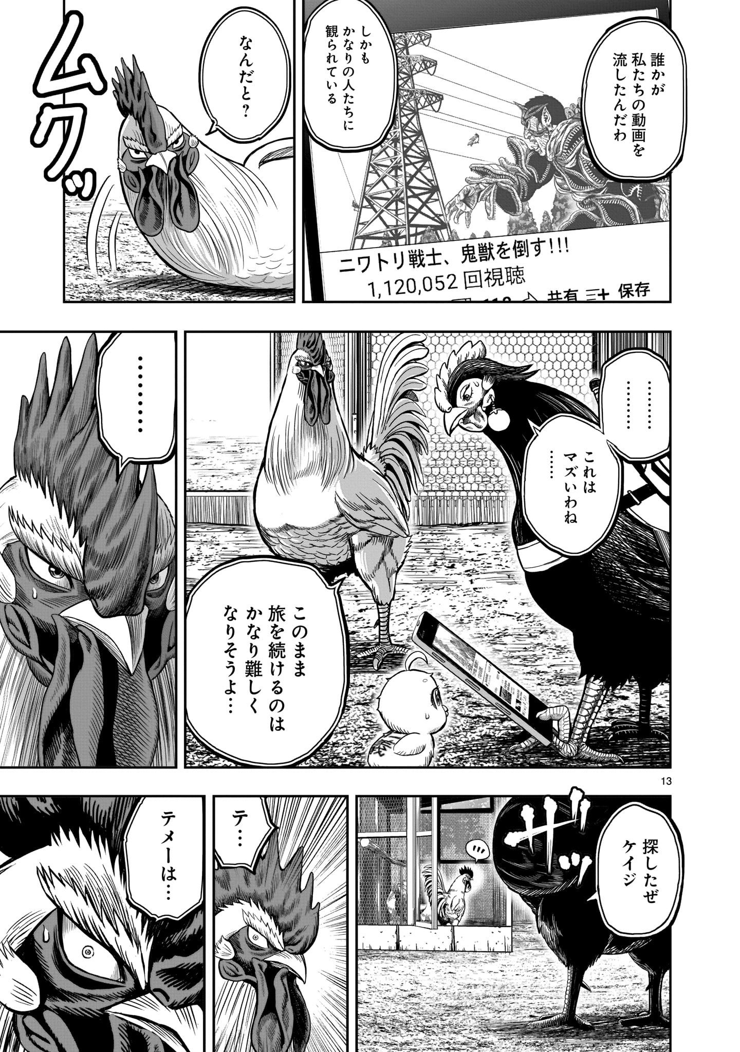 Page 13