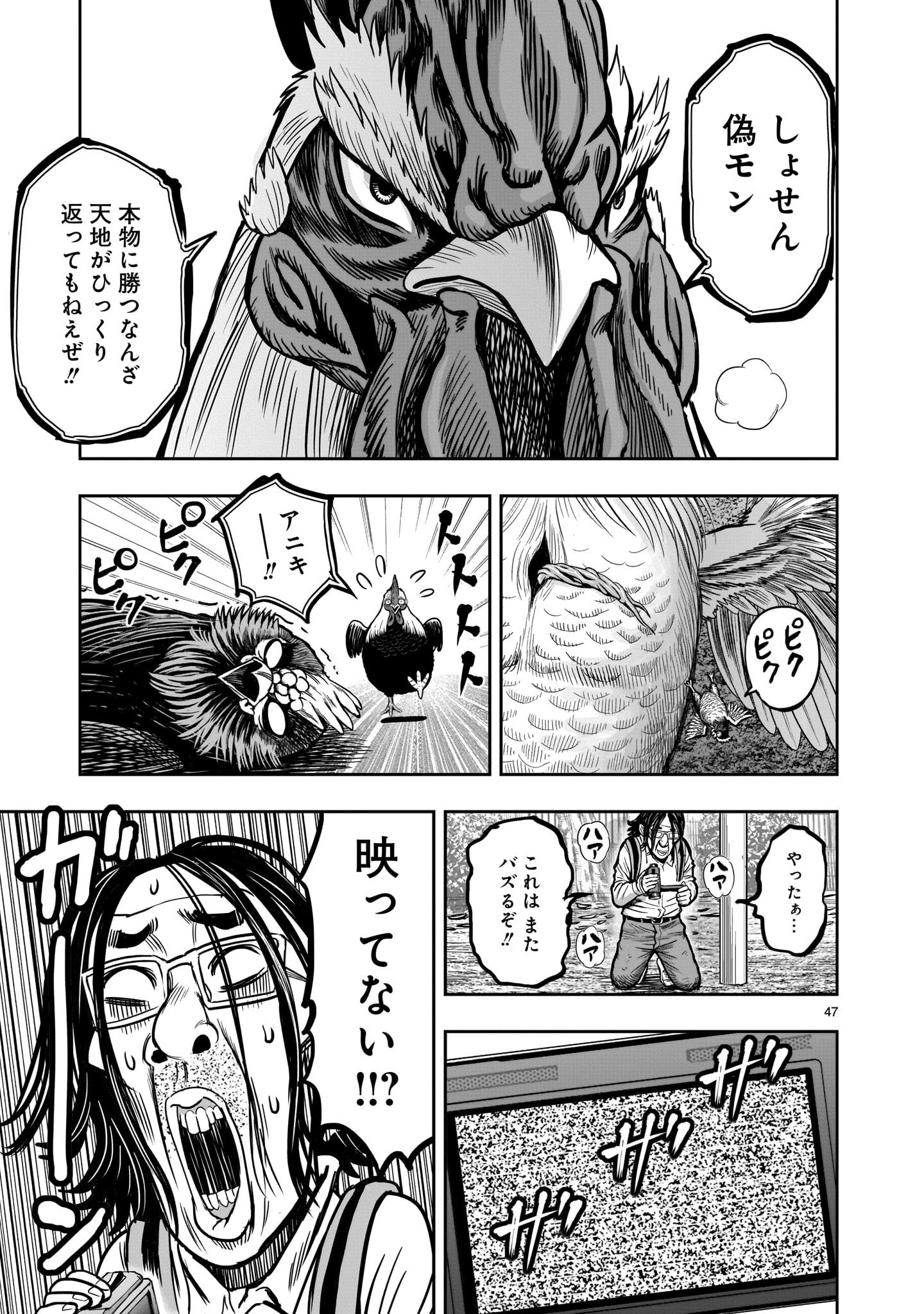 Page 47