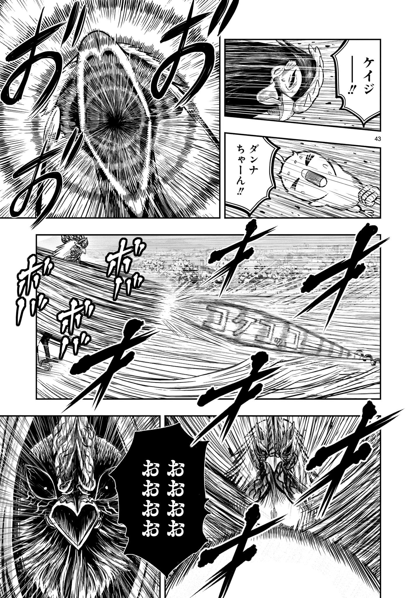 Page 43
