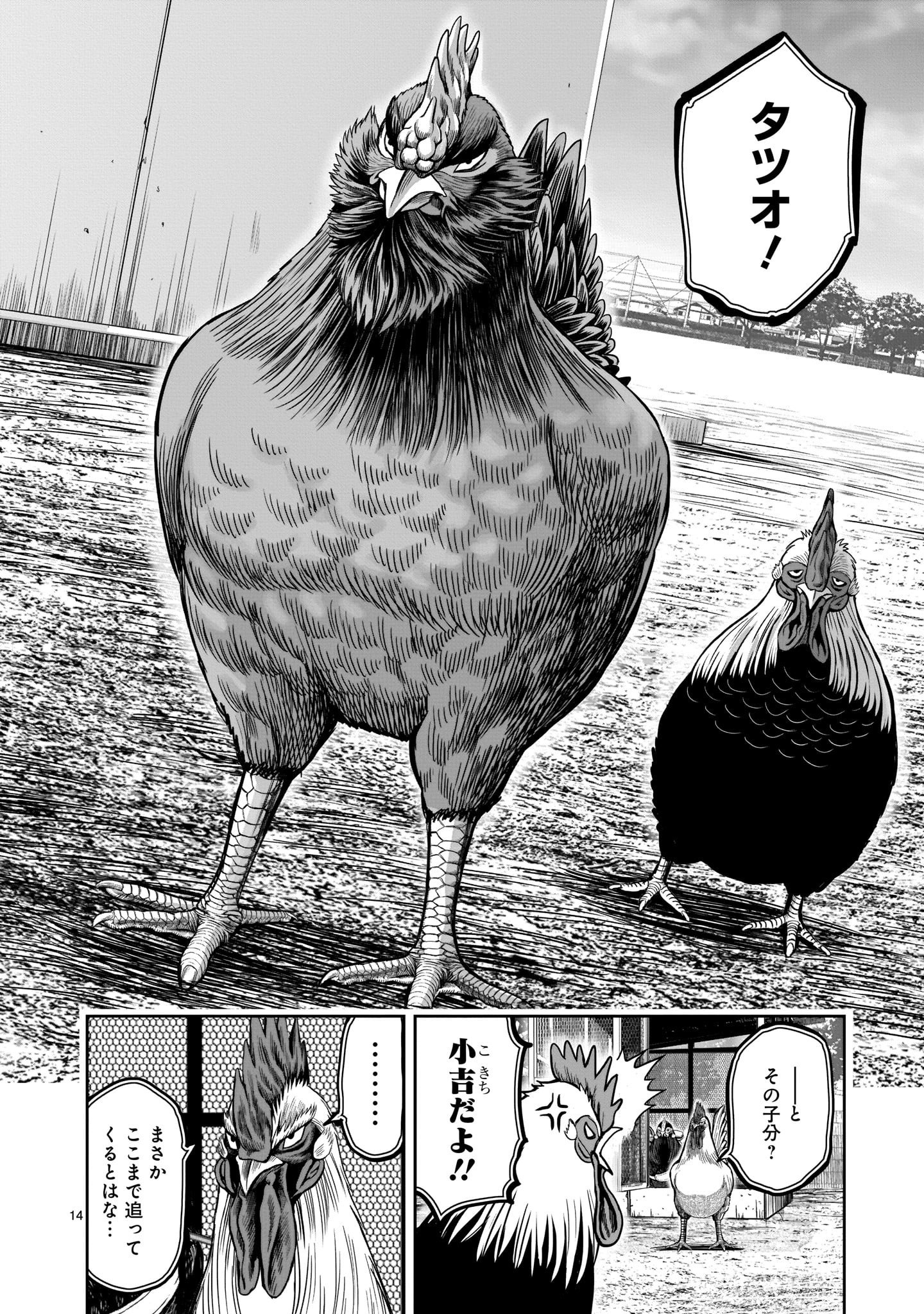 Page 14
