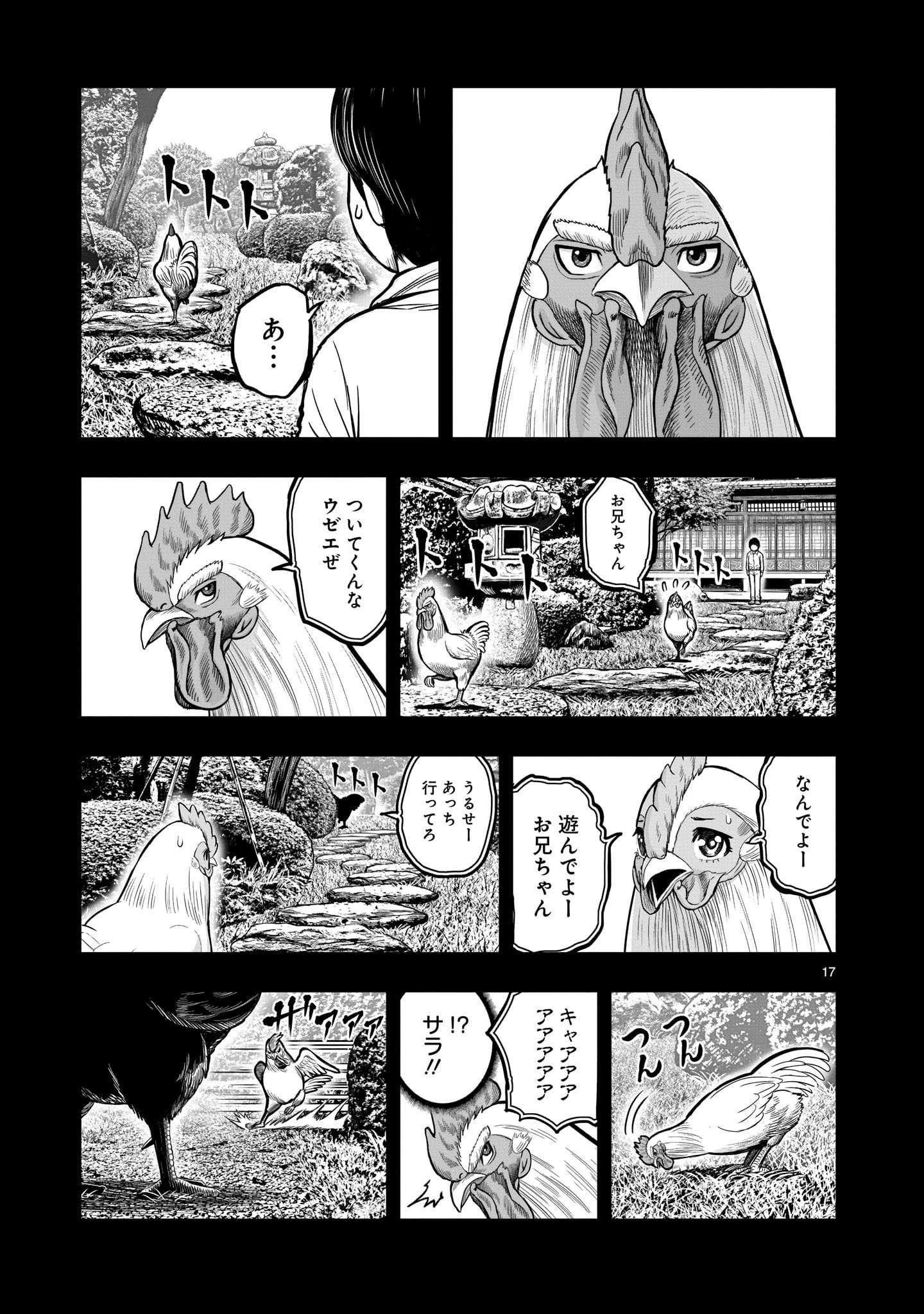 Page 17