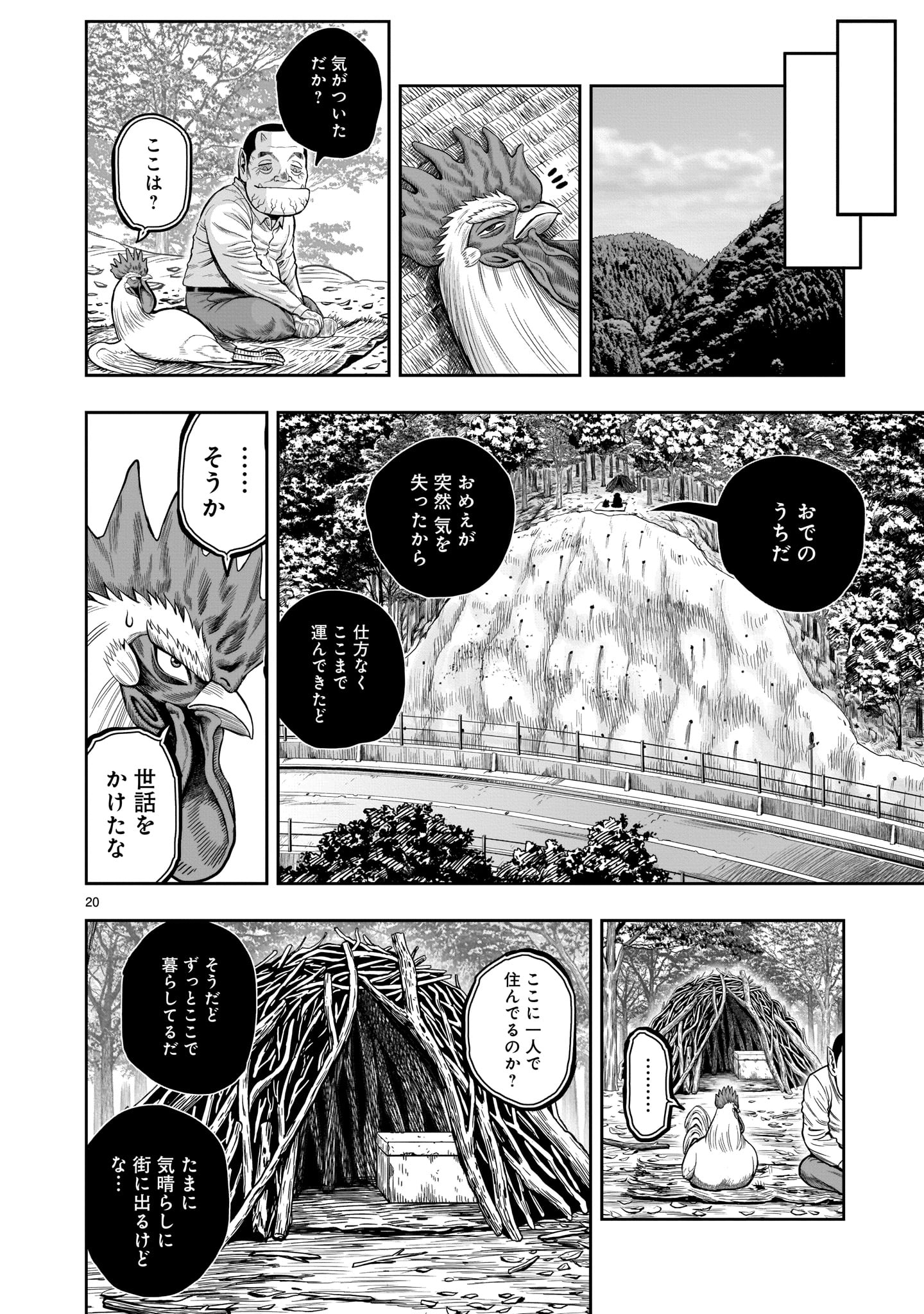 Page 20