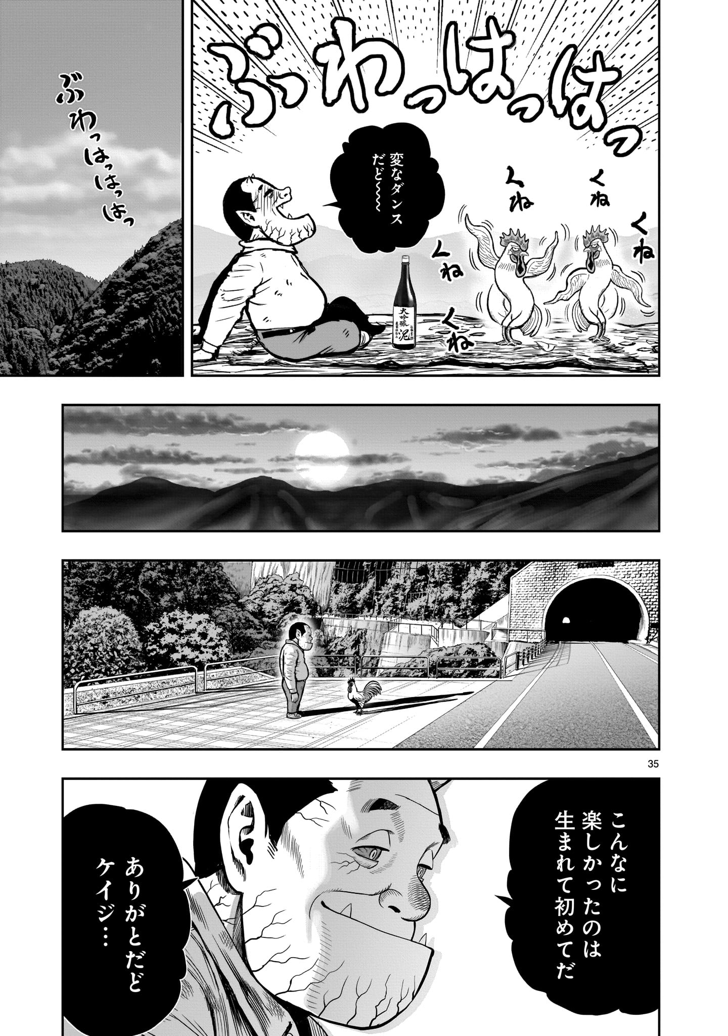 Page 35