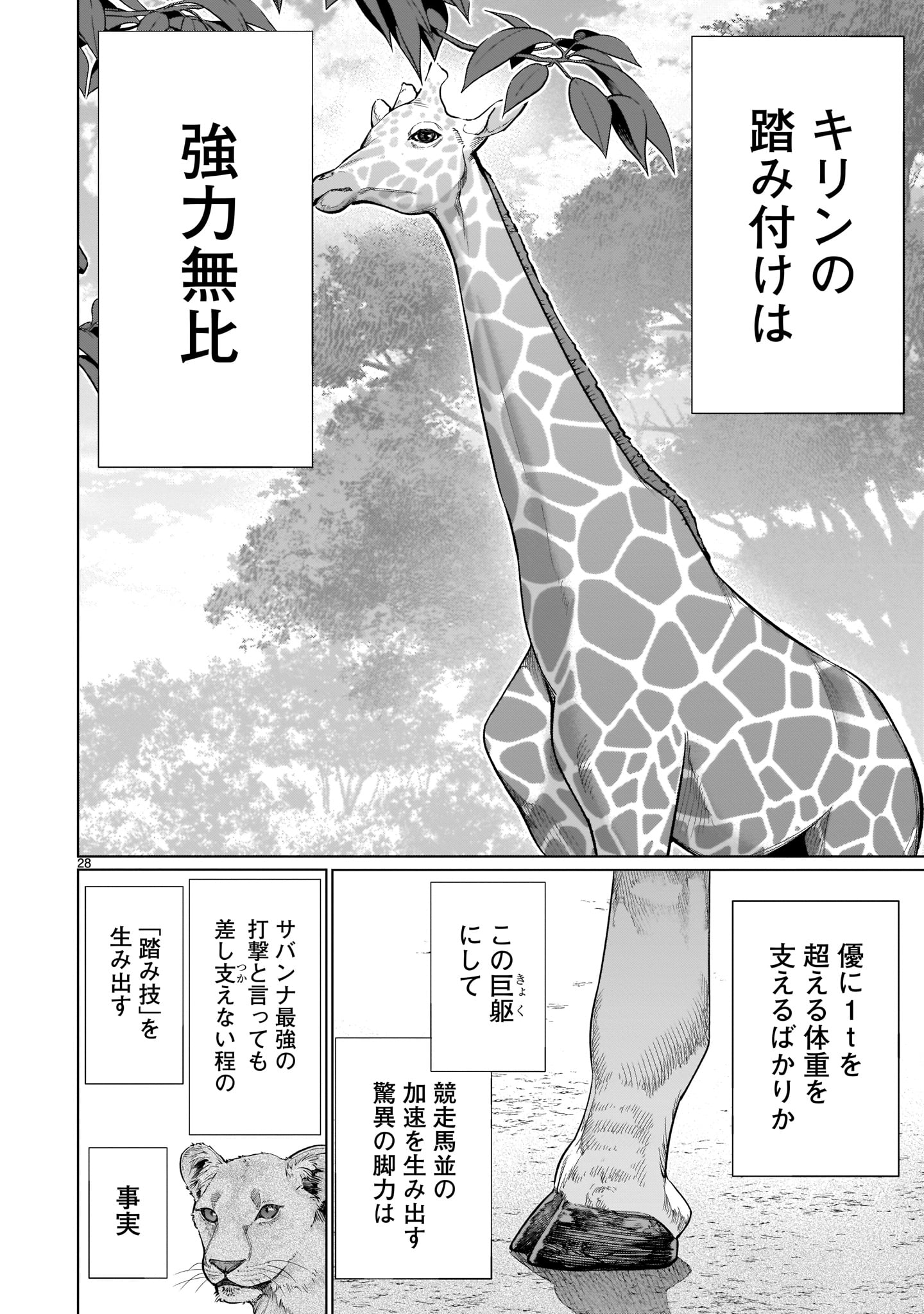 Page 28