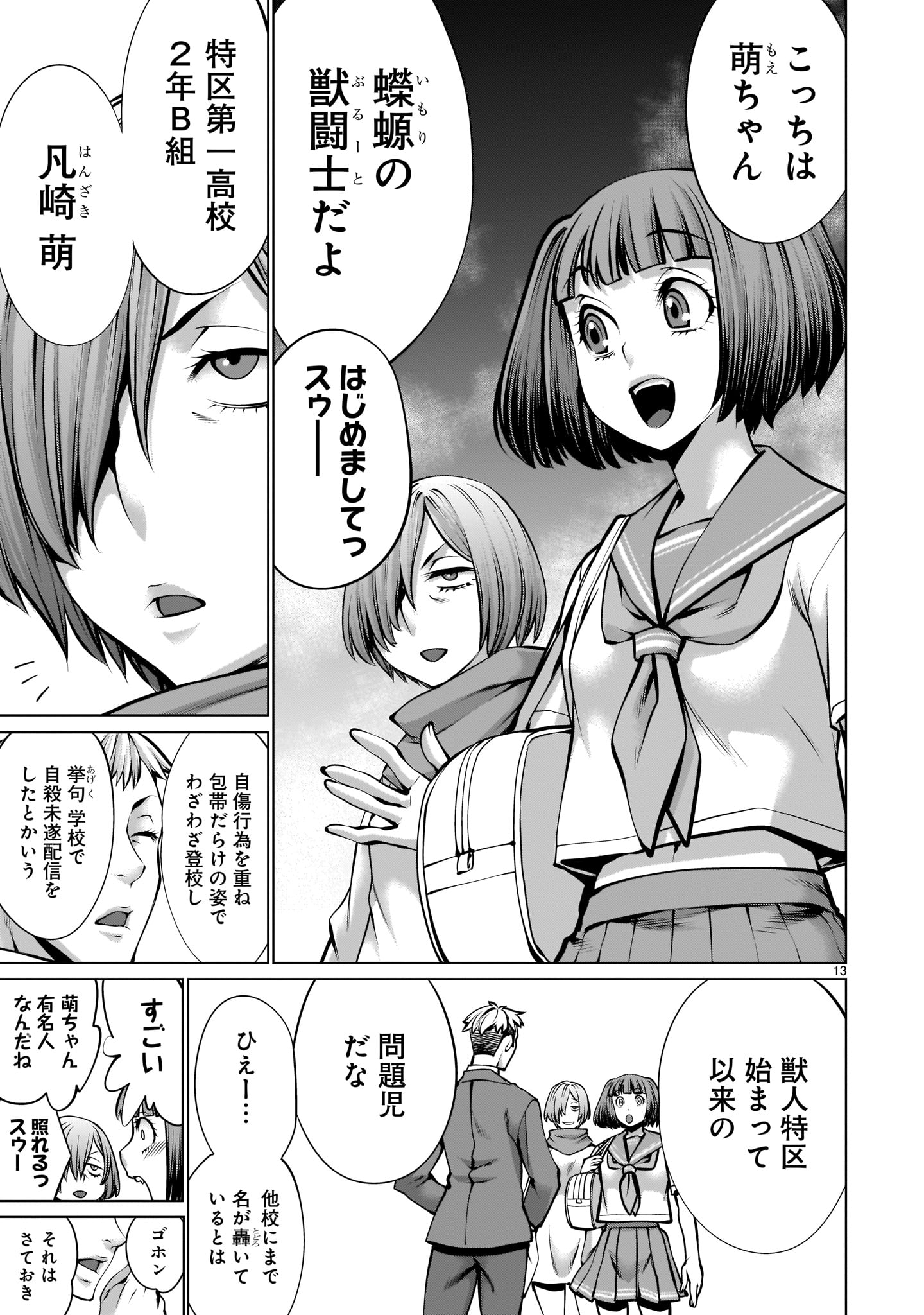 Page 13