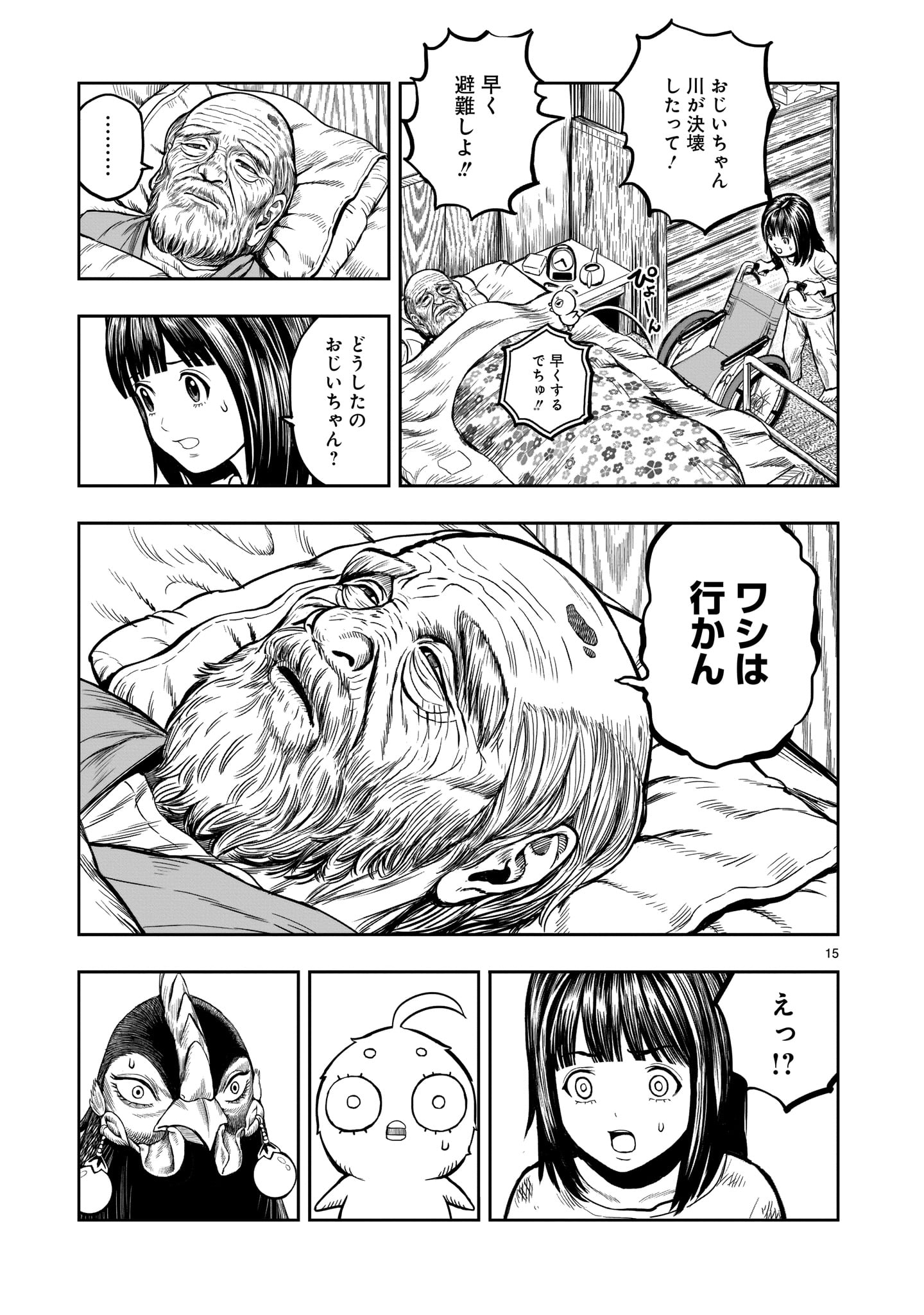 Page 15