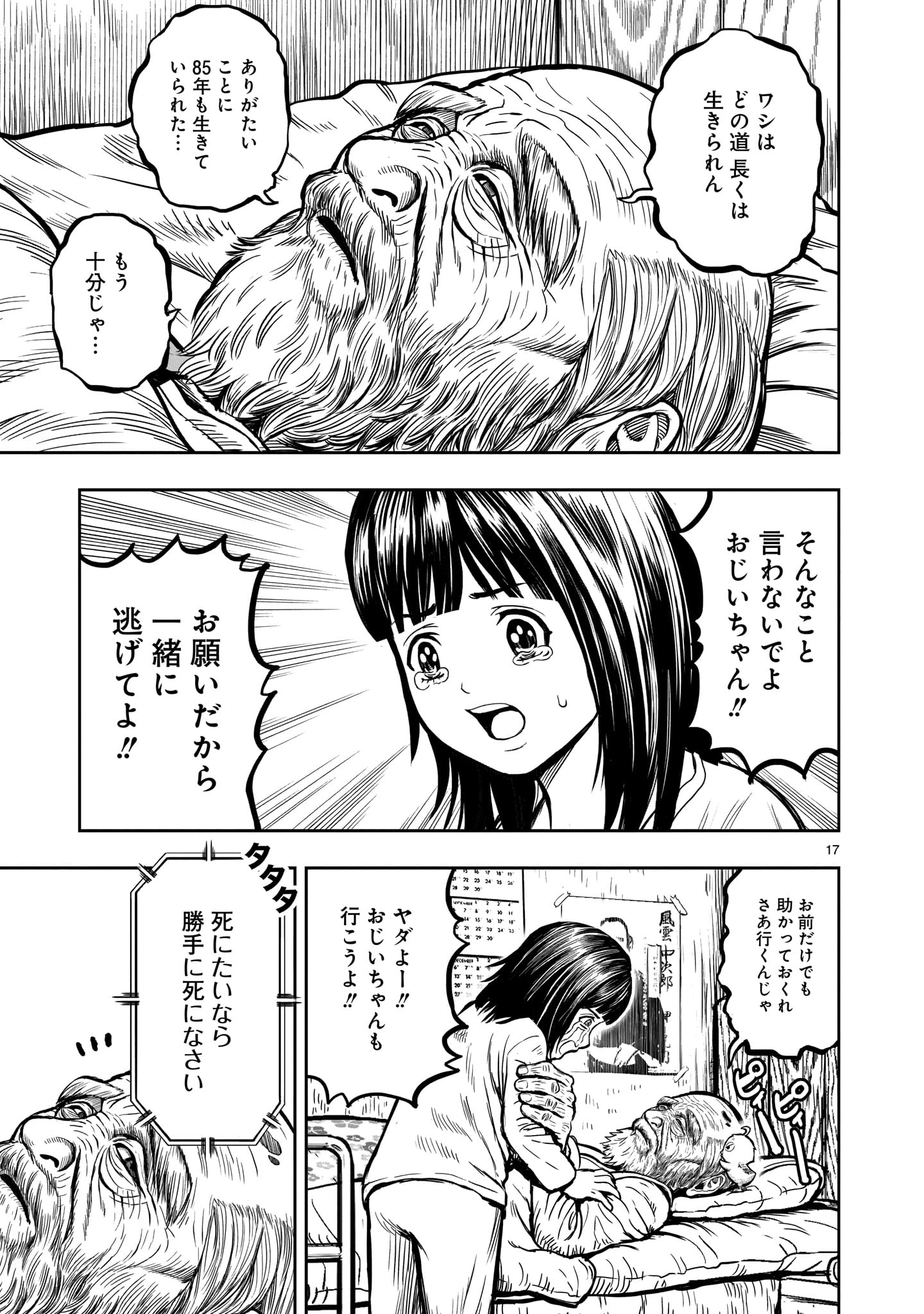 Page 17