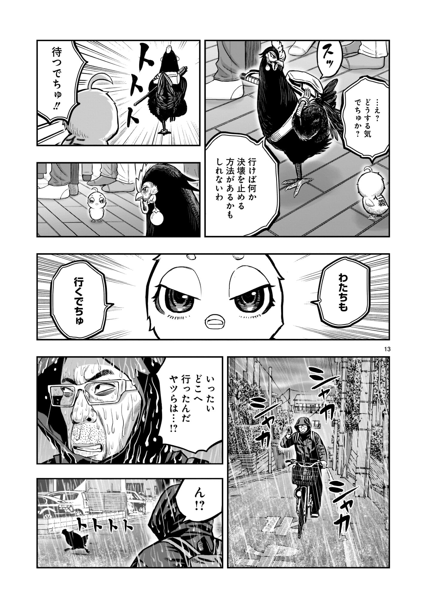 Page 13