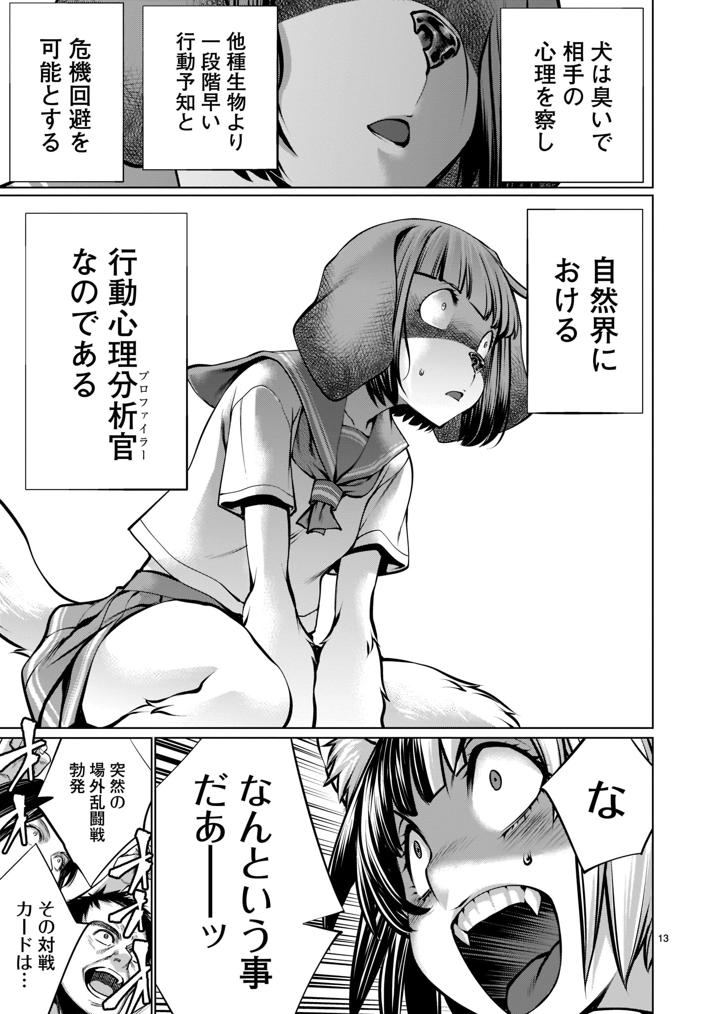 Page 13