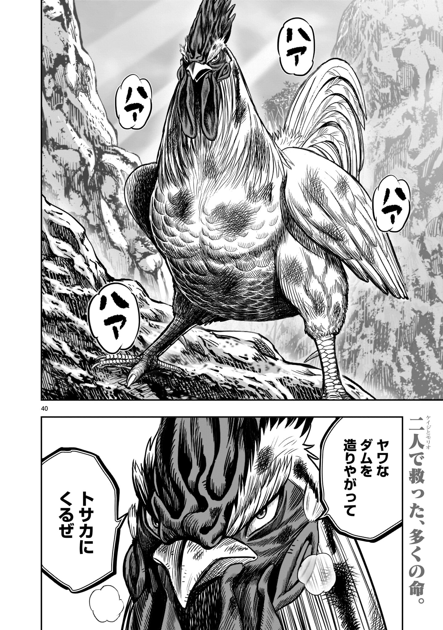Page 40