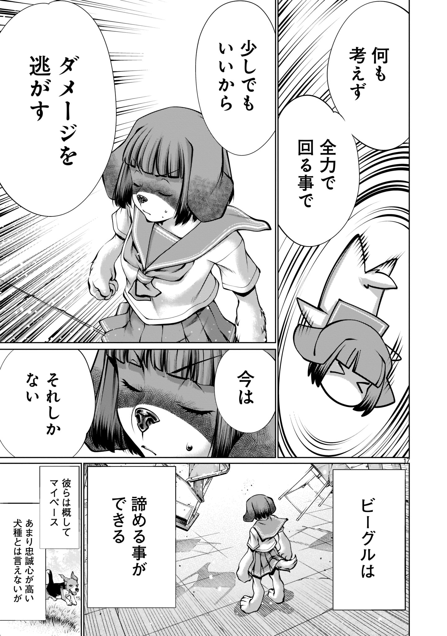 Page 17