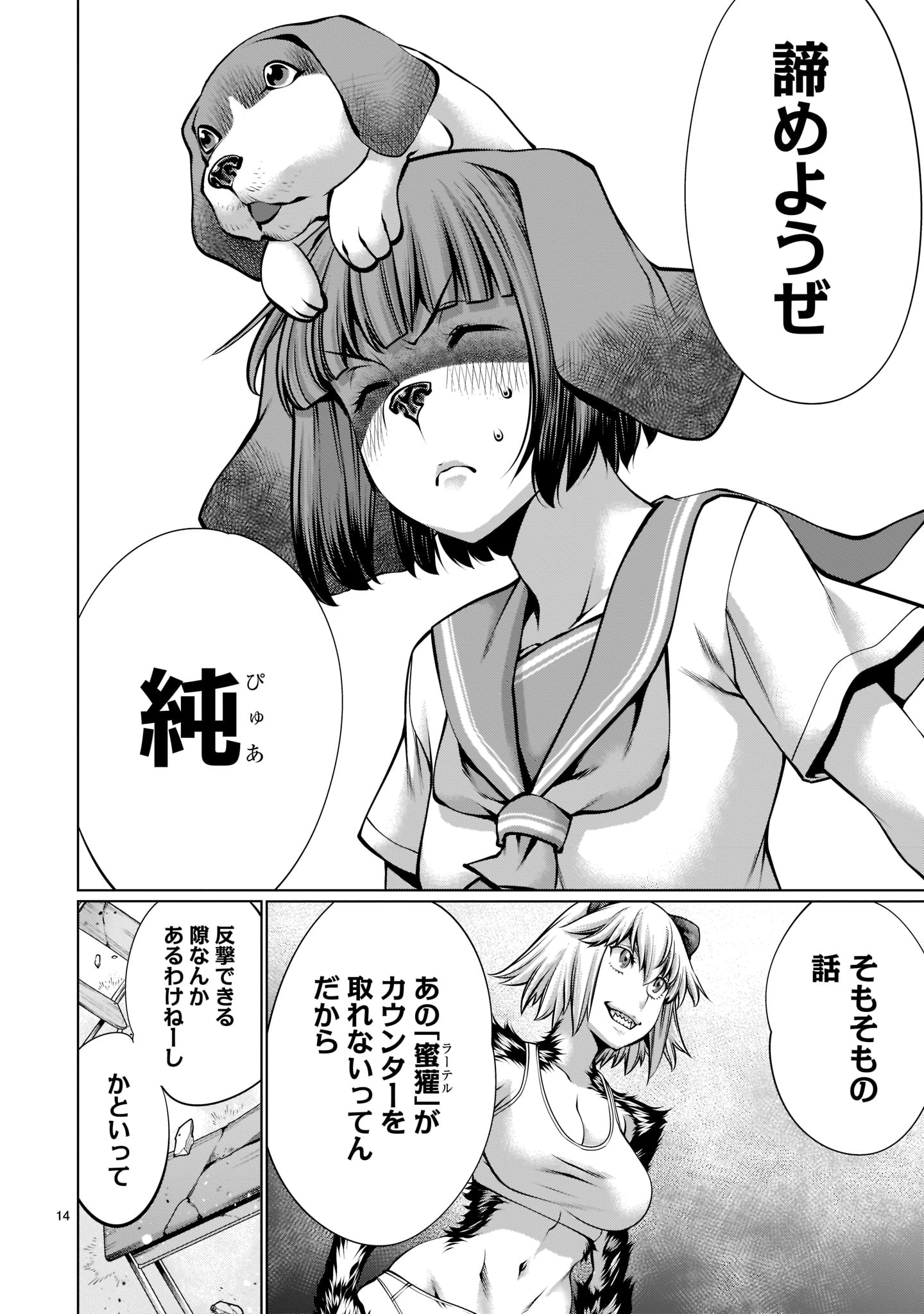 Page 14