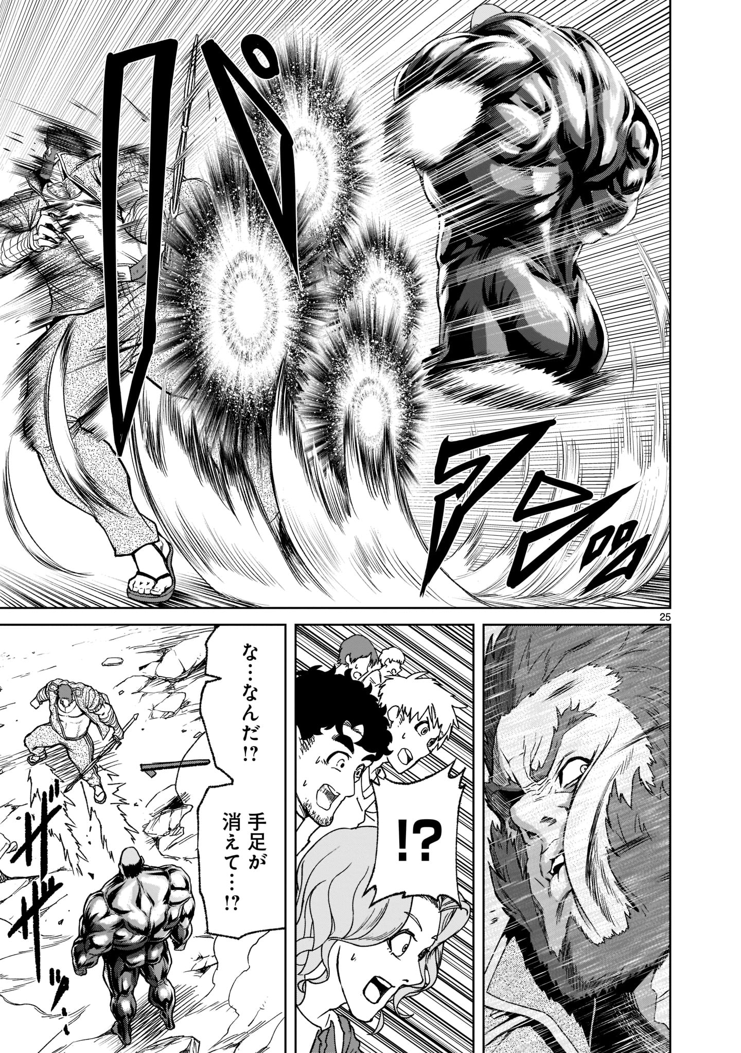 Page 25