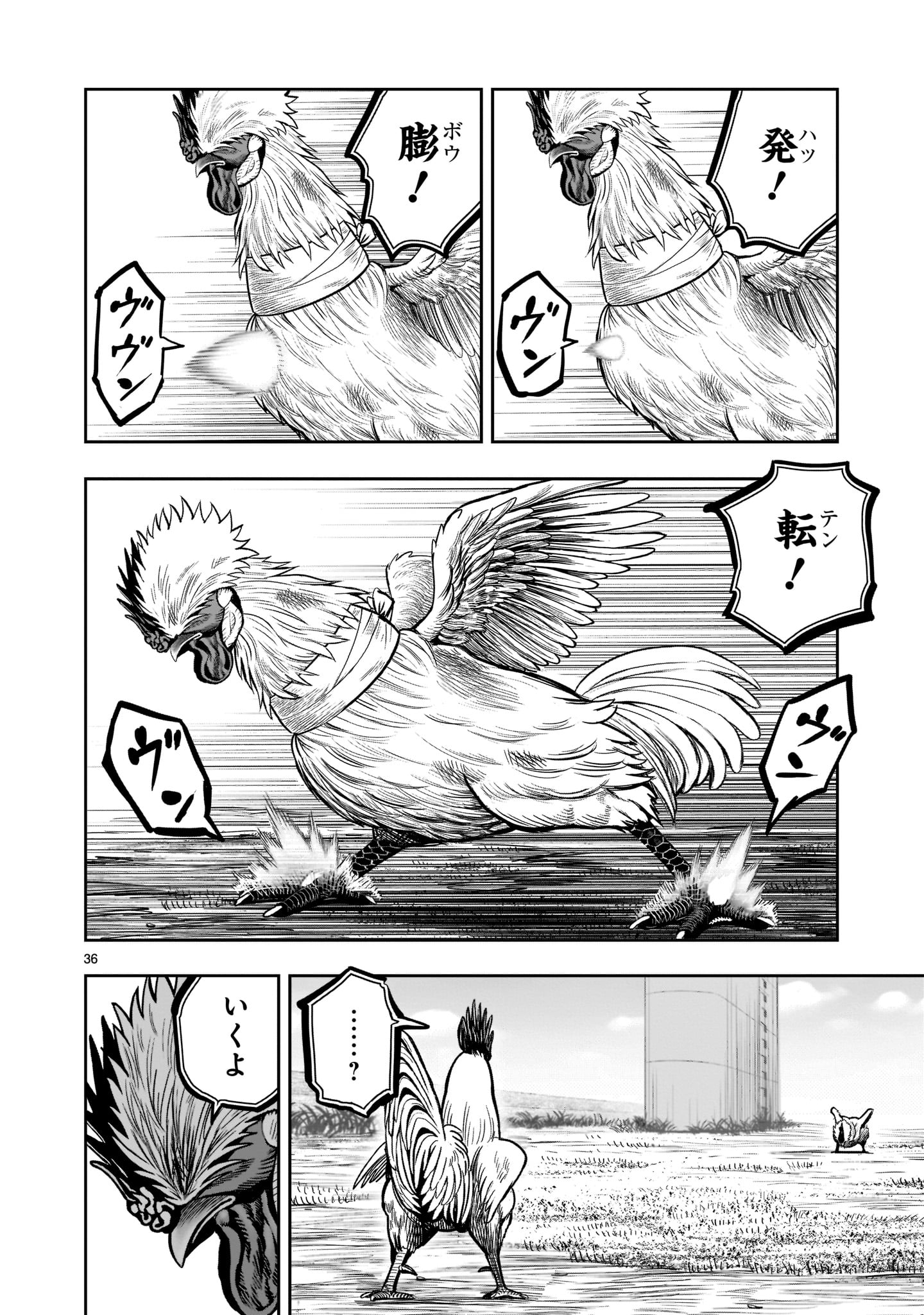 Page 36