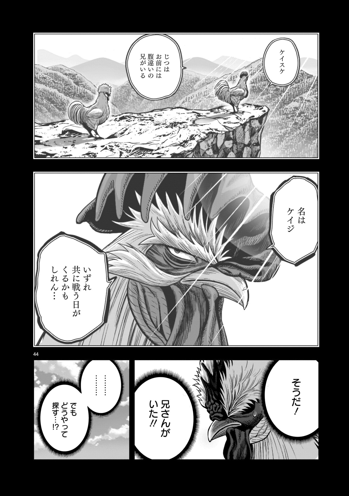 Page 44