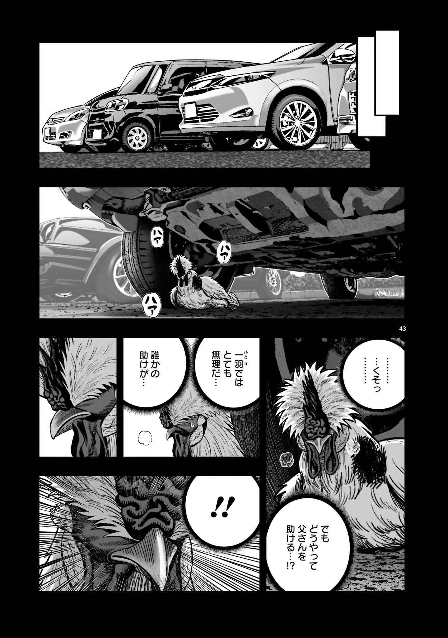 Page 43