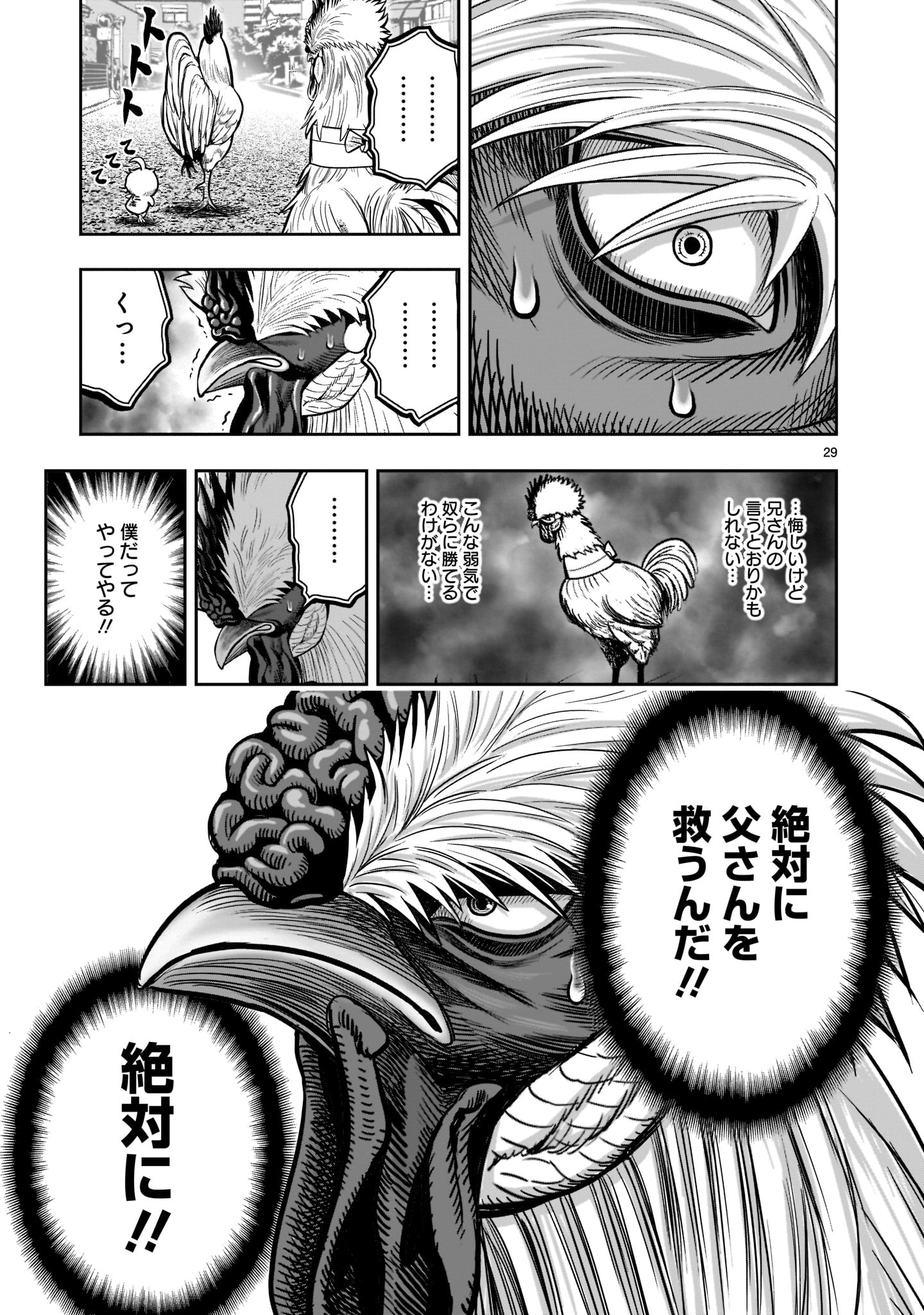 Page 29