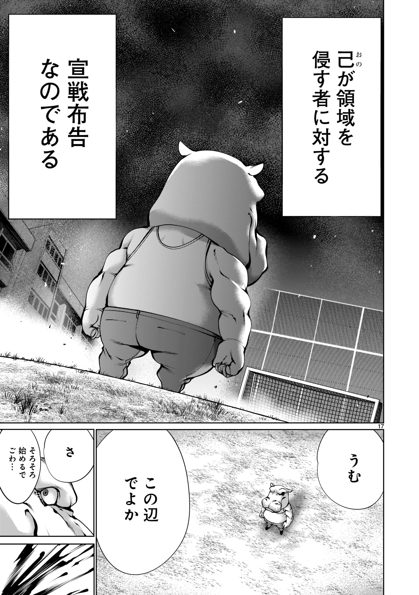Page 17
