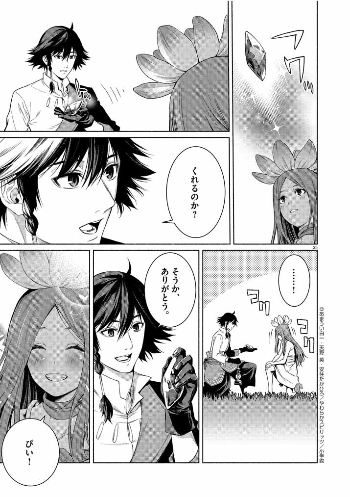 Page 25