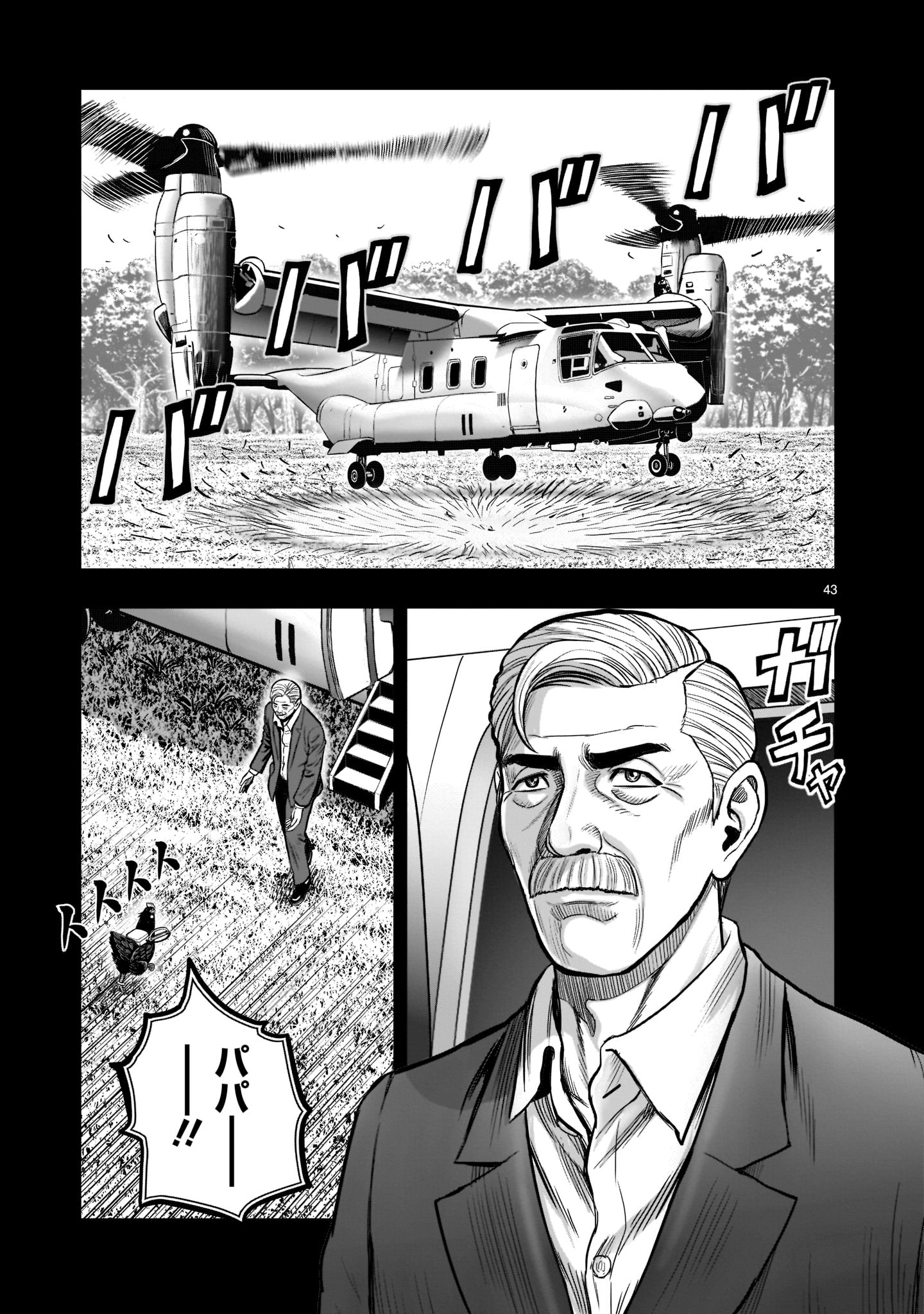 Page 43