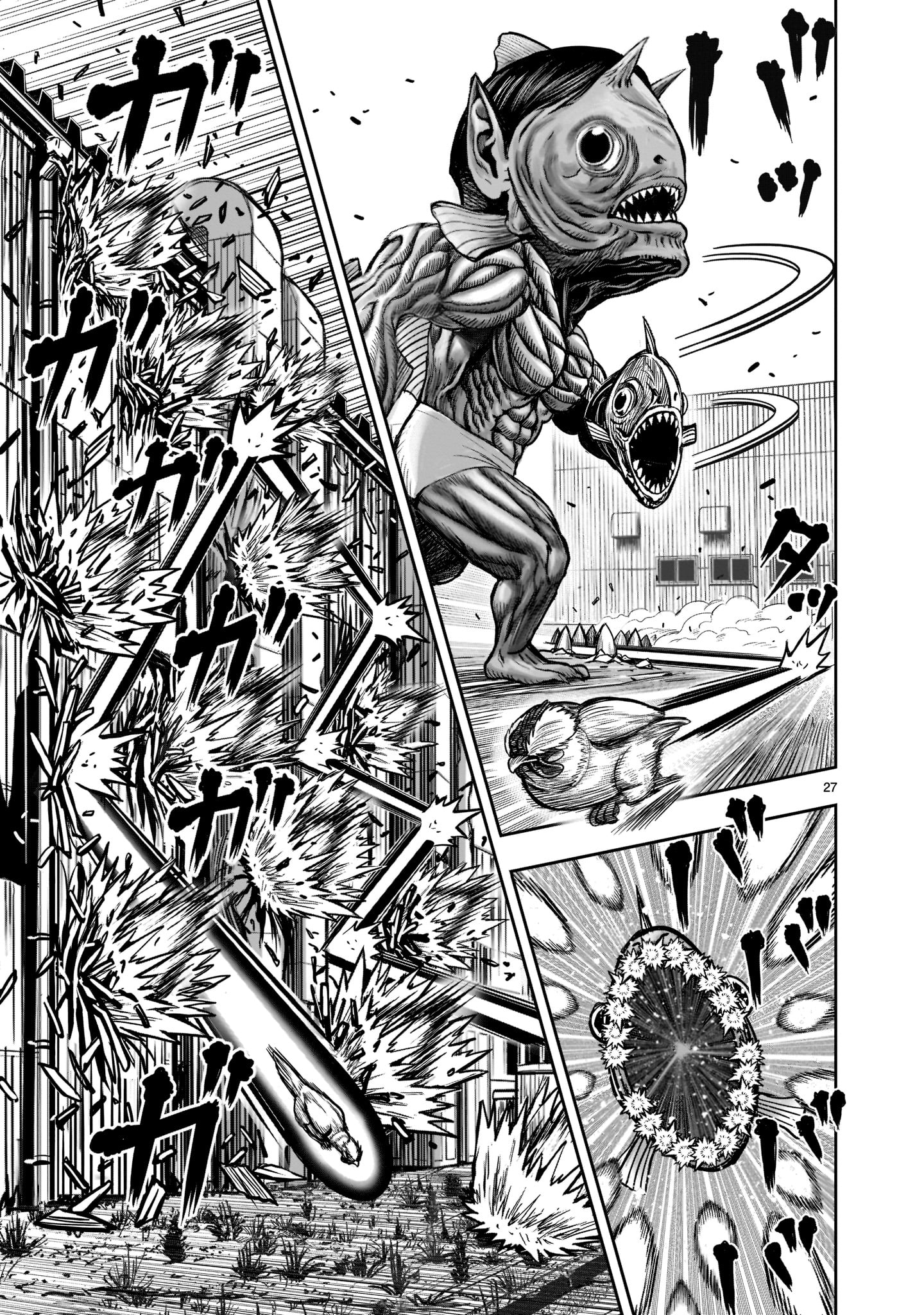 Page 27