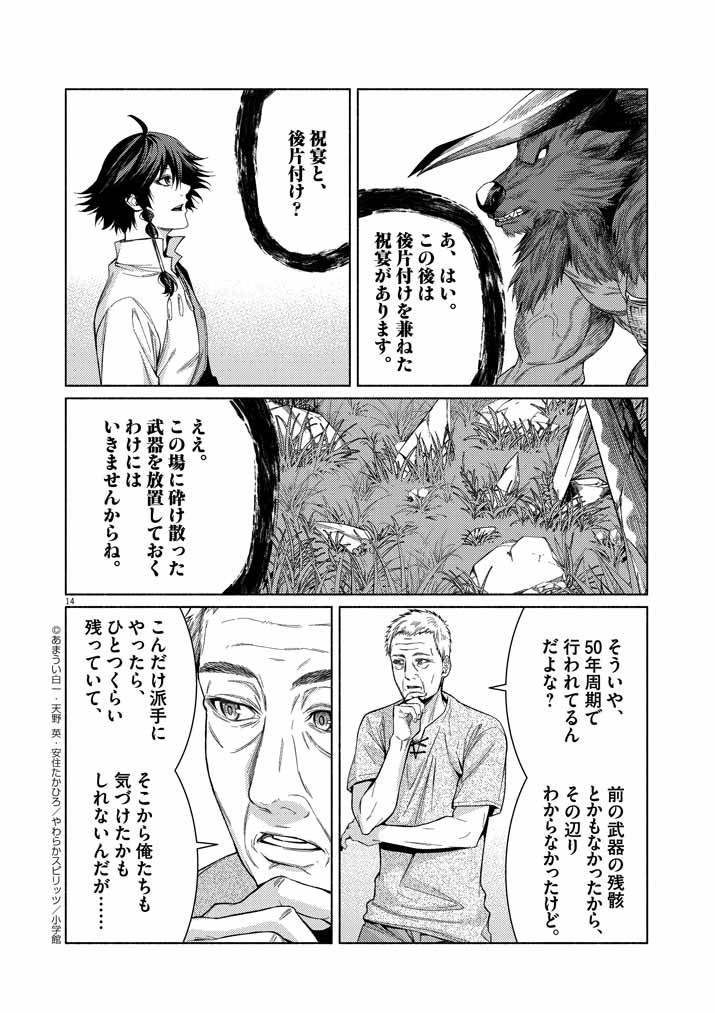 Page 14