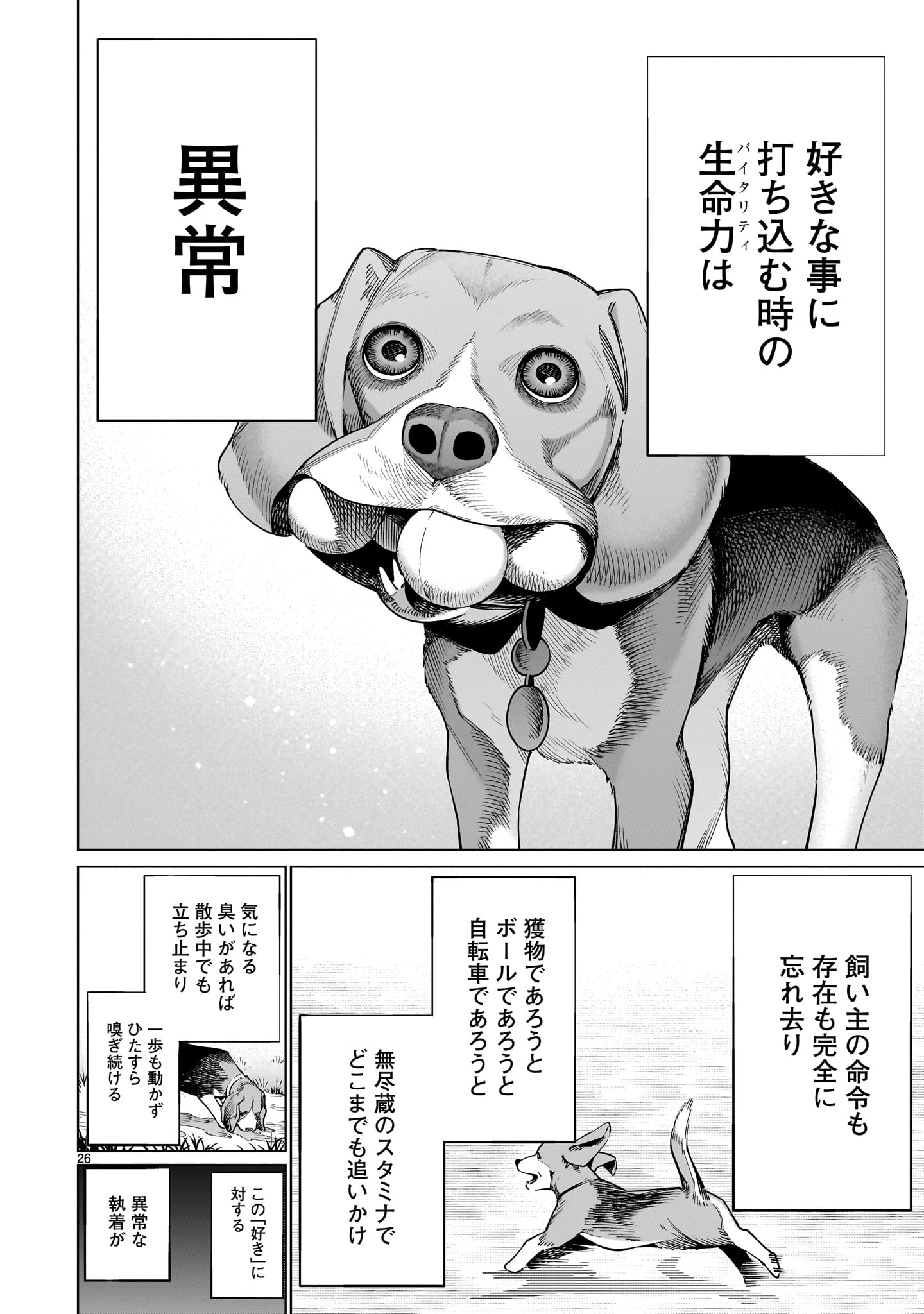 Page 26
