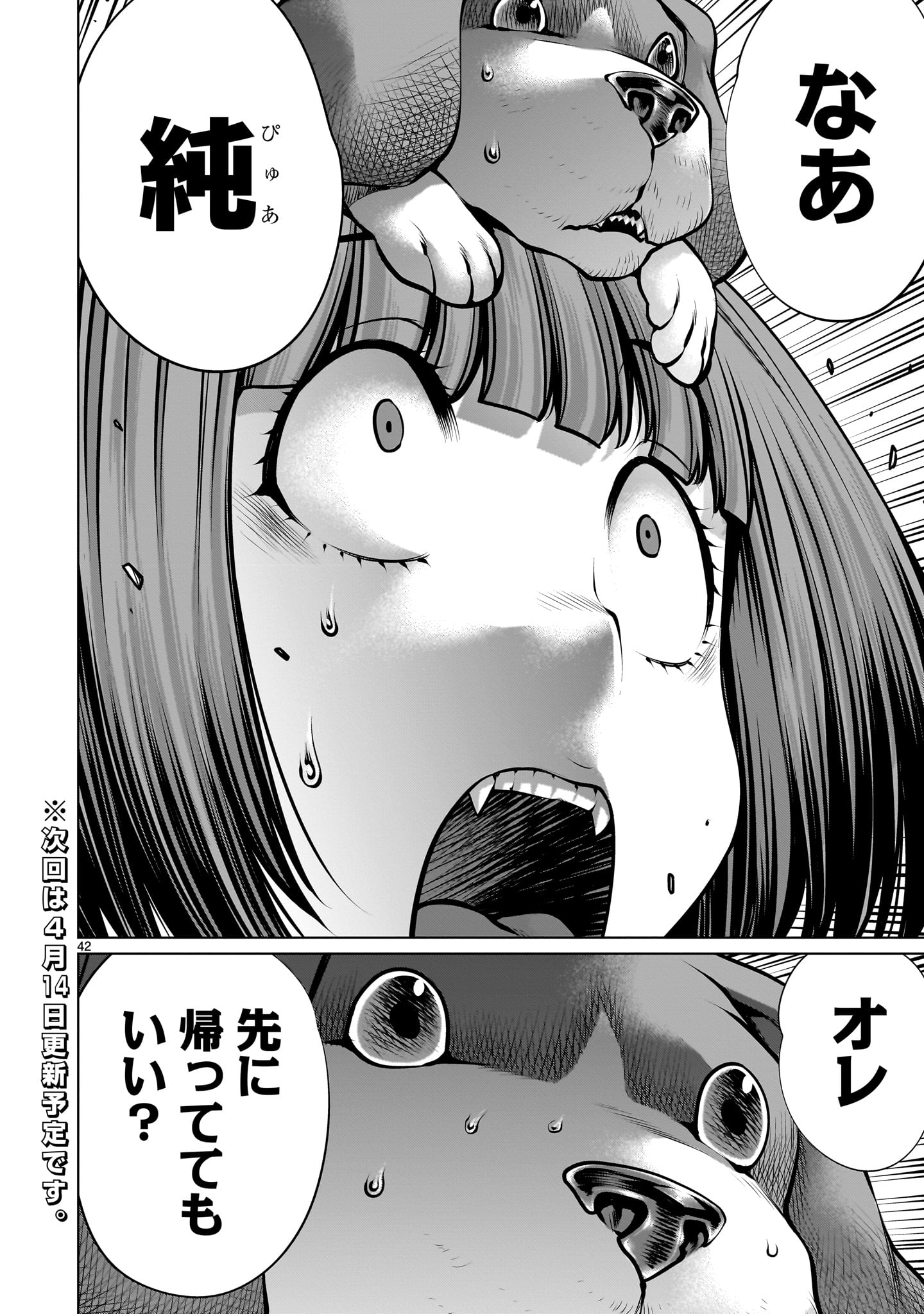 Page 42