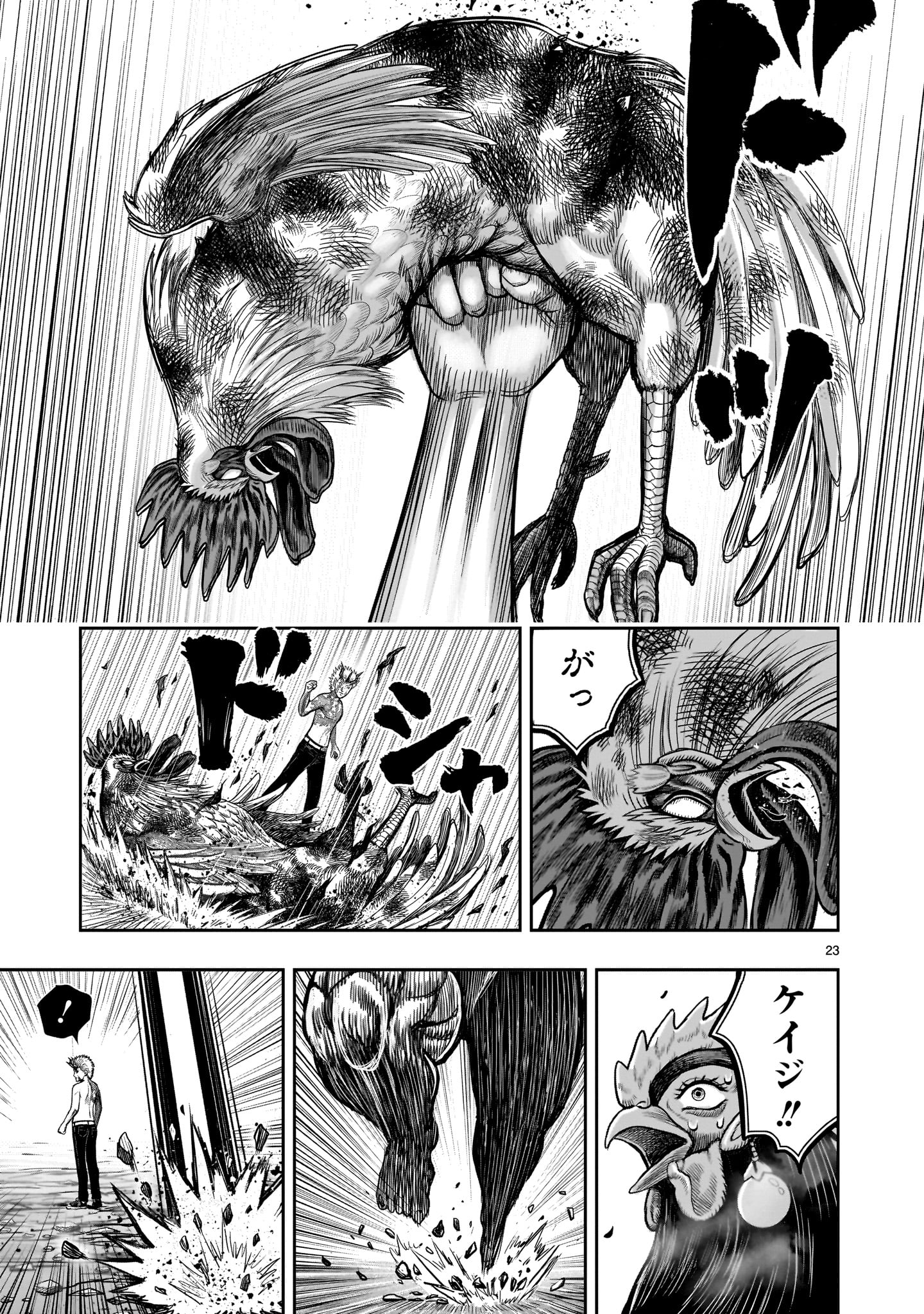 Page 23