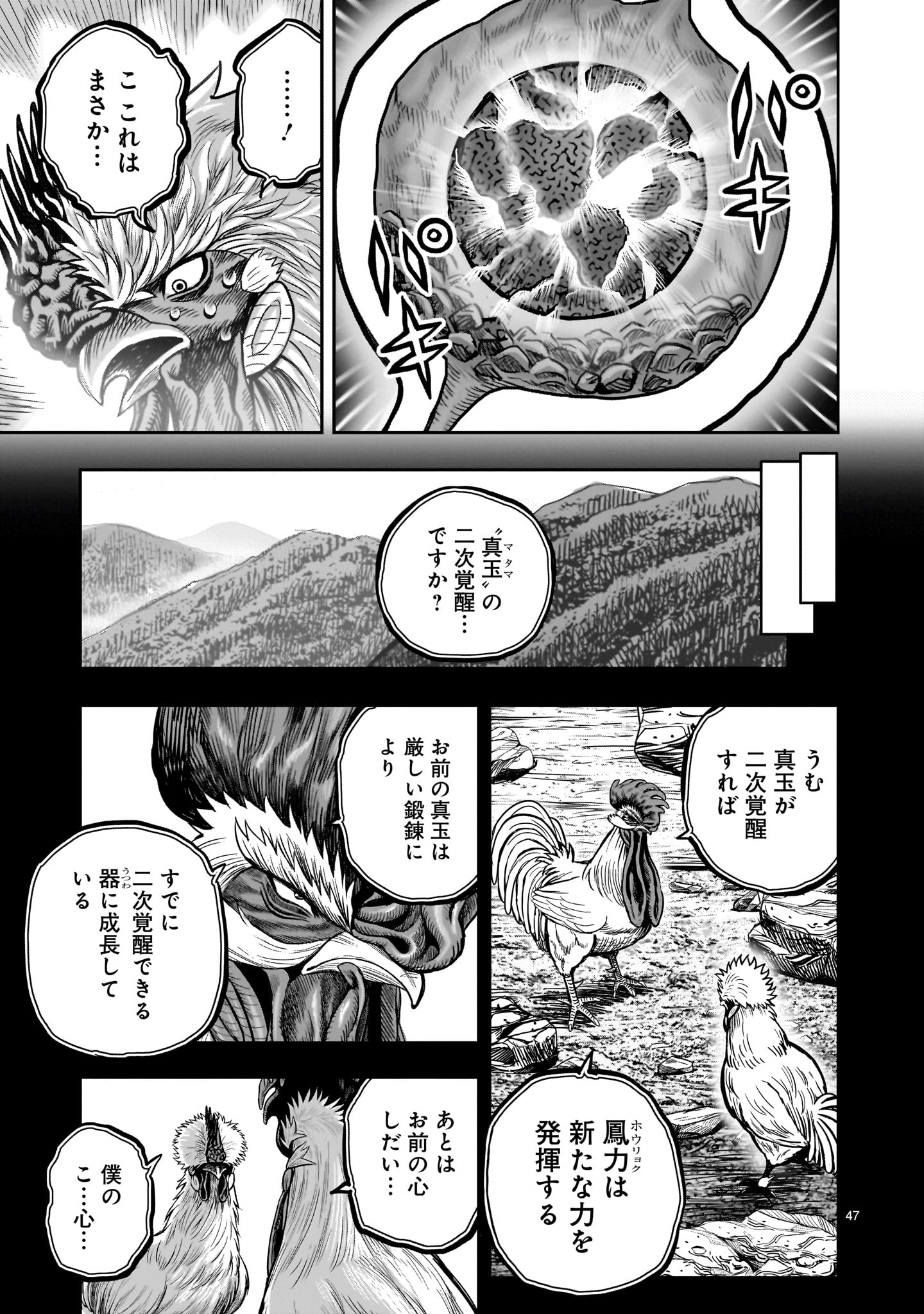 Page 47