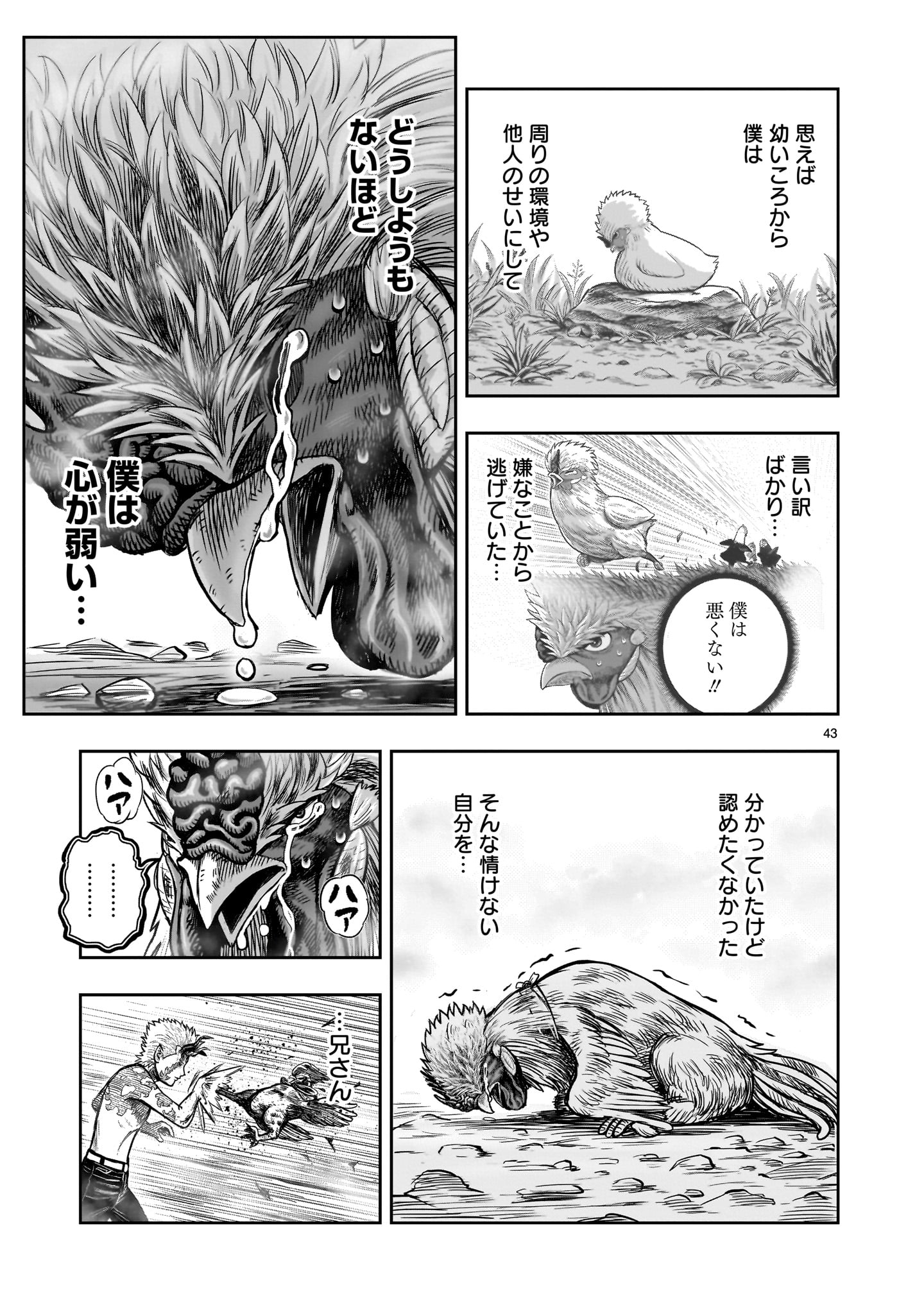 Page 43