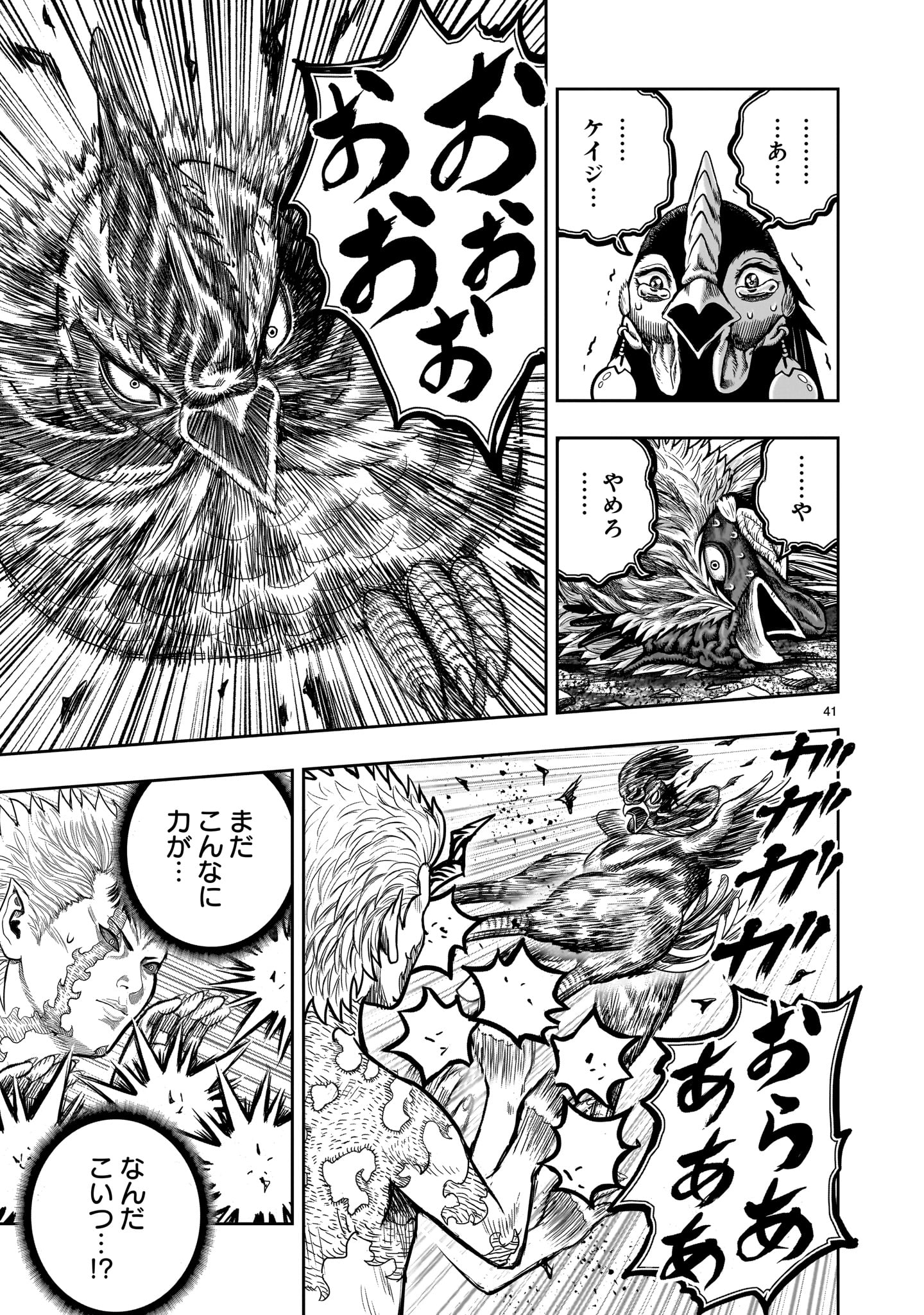 Page 41