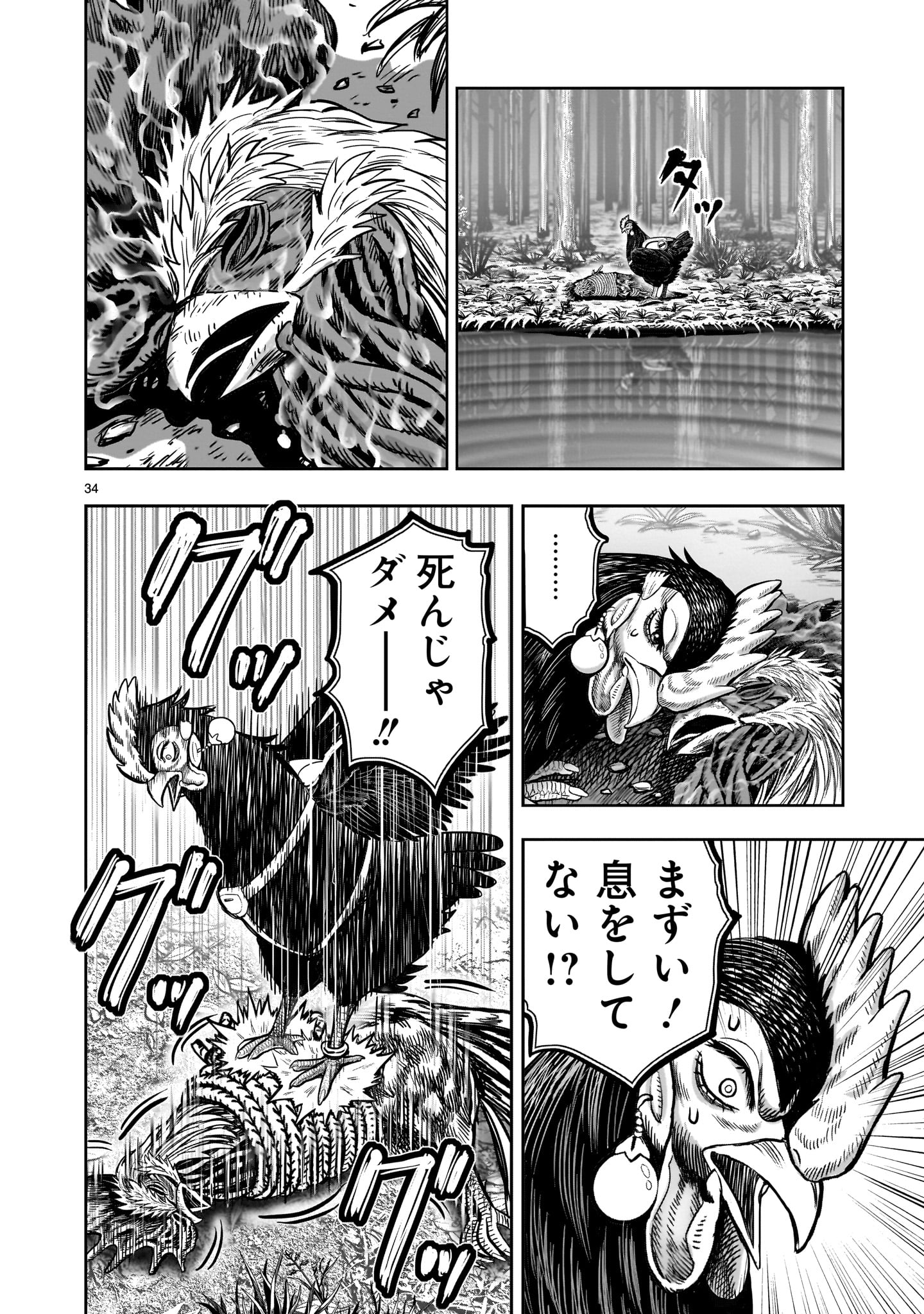 Page 34