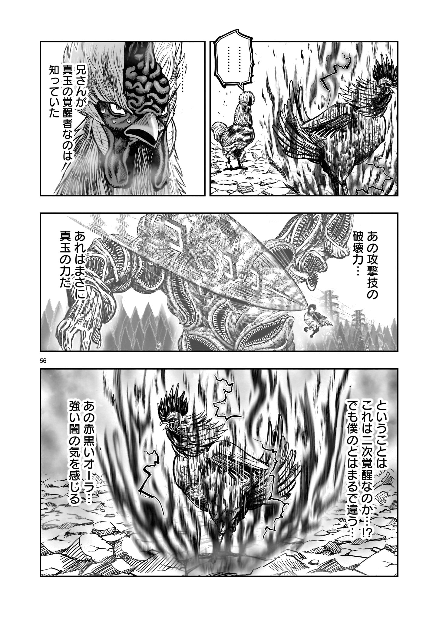 Page 56