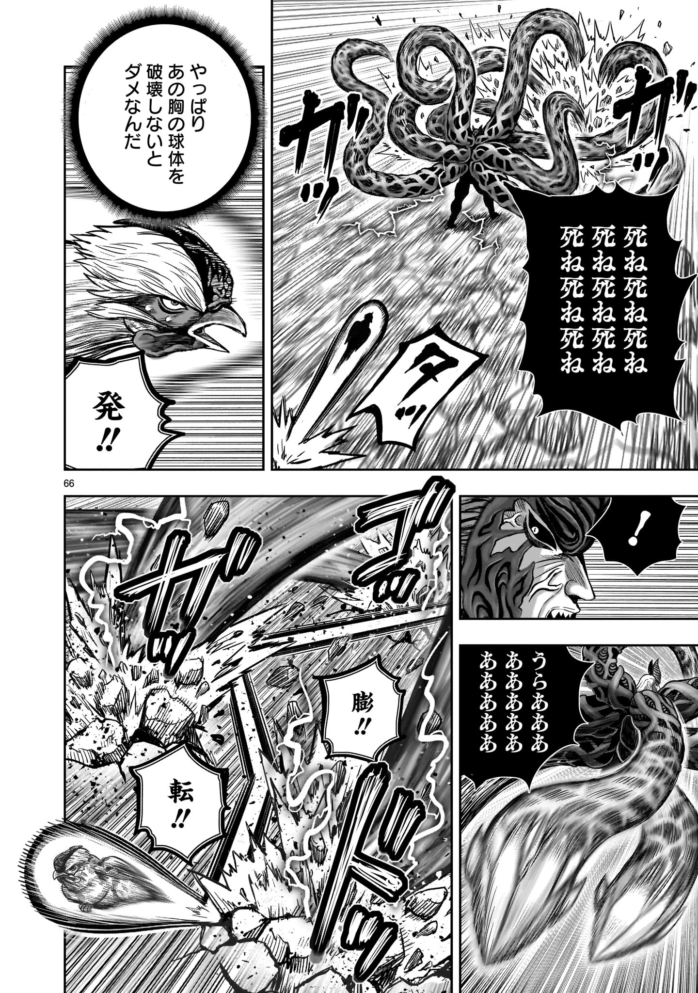 Page 66