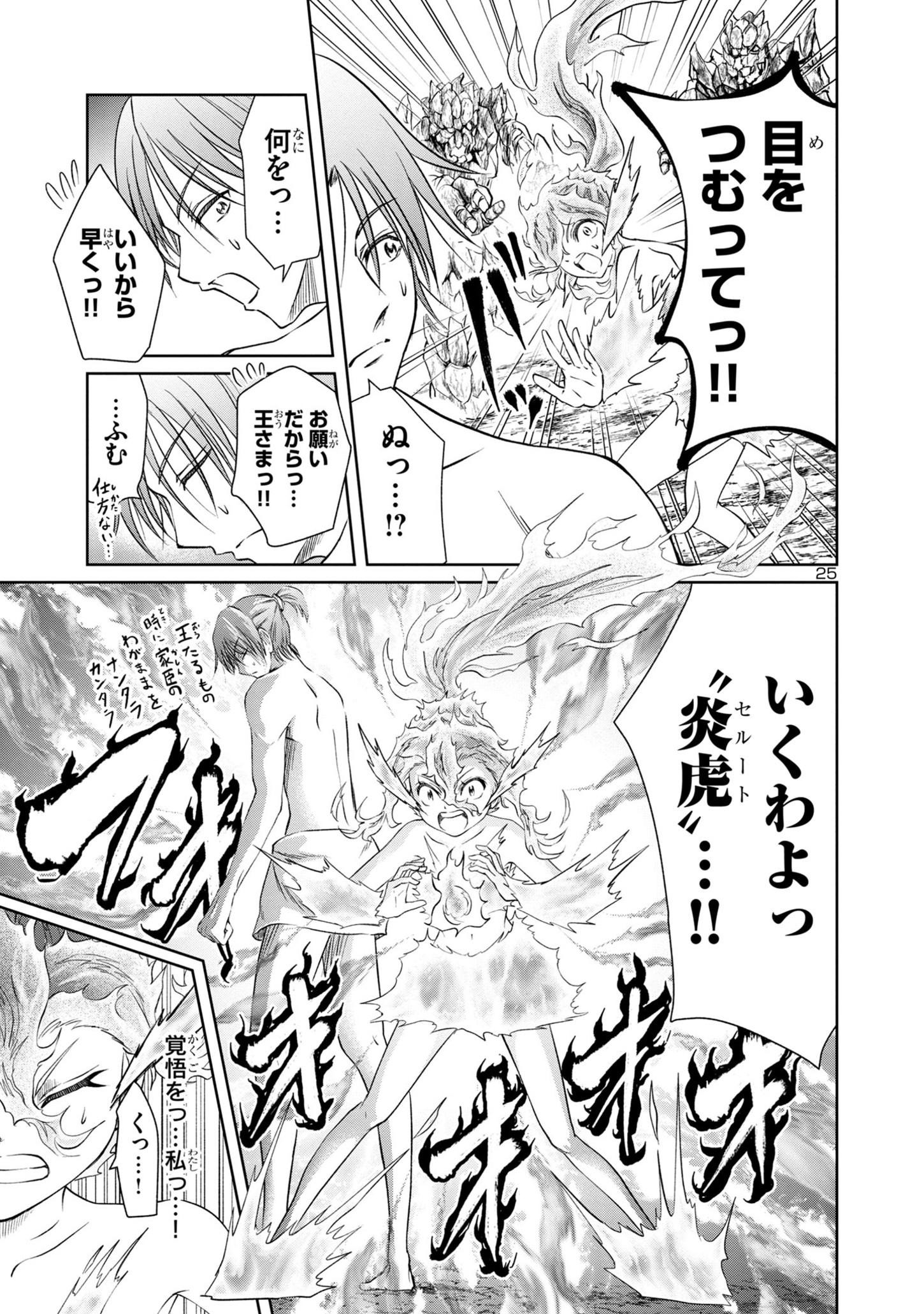 Page 25