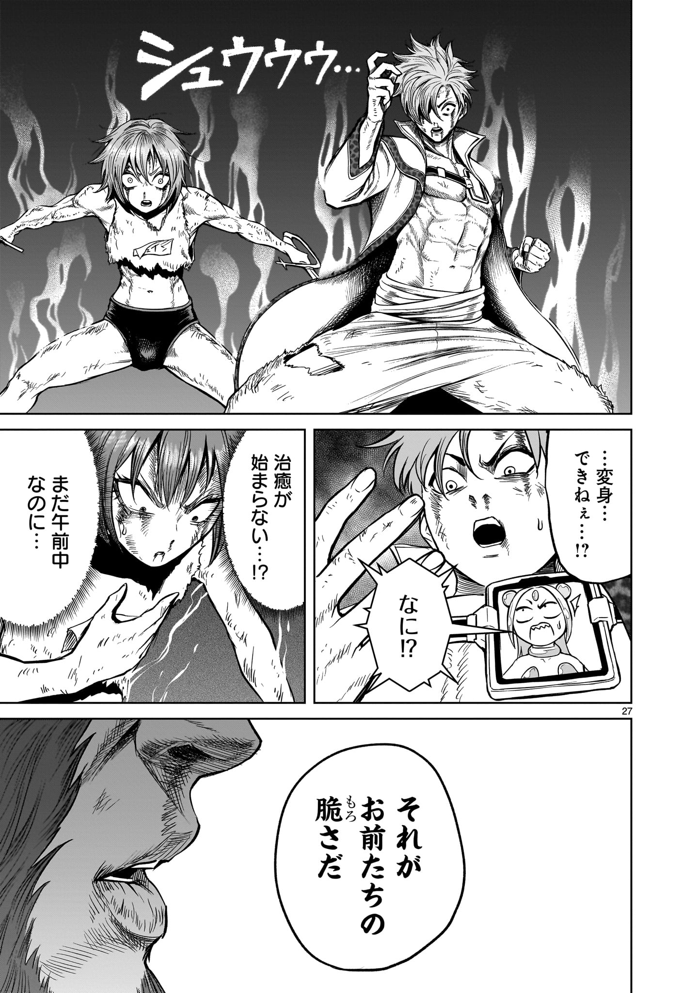 Page 27
