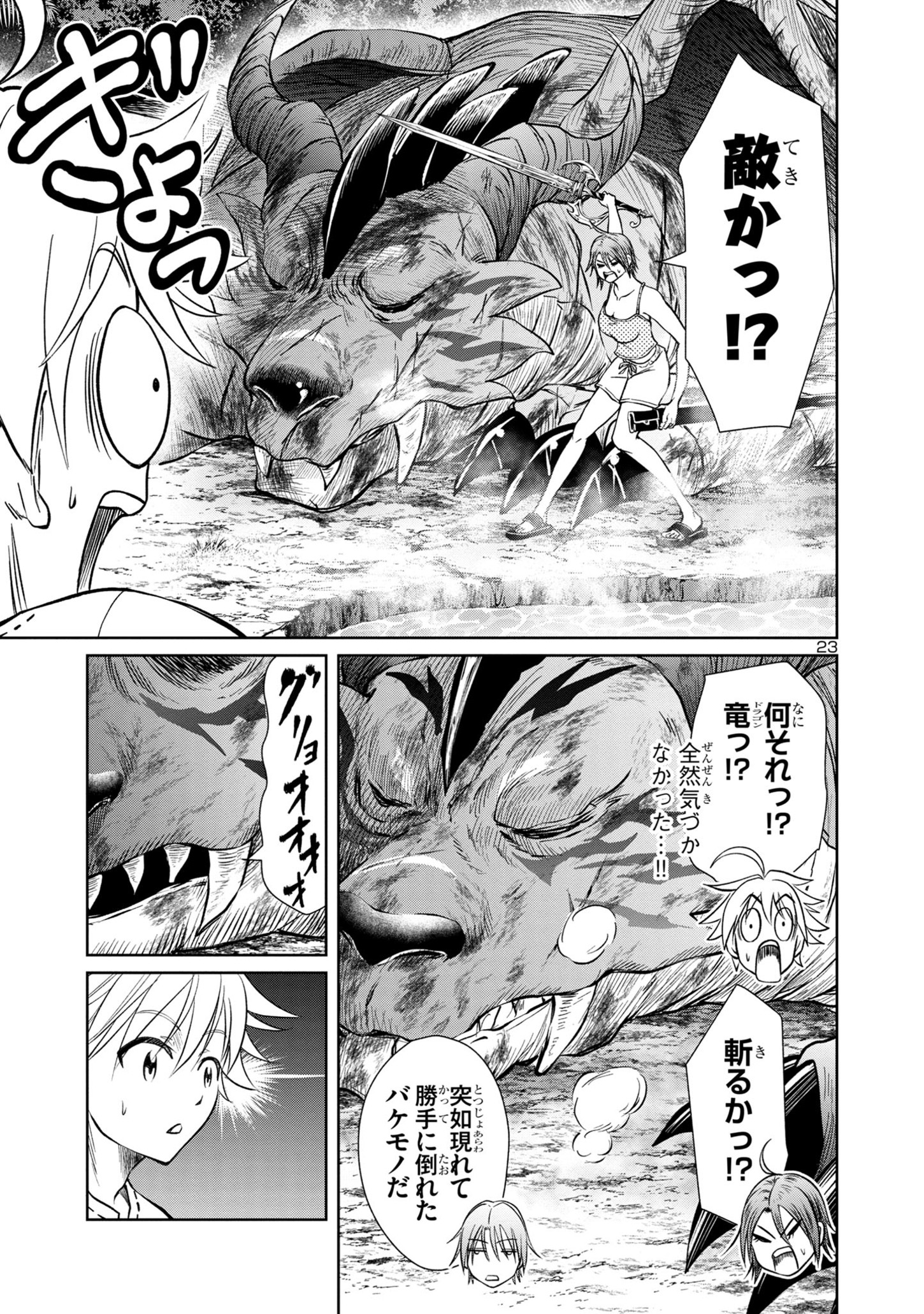 Page 23