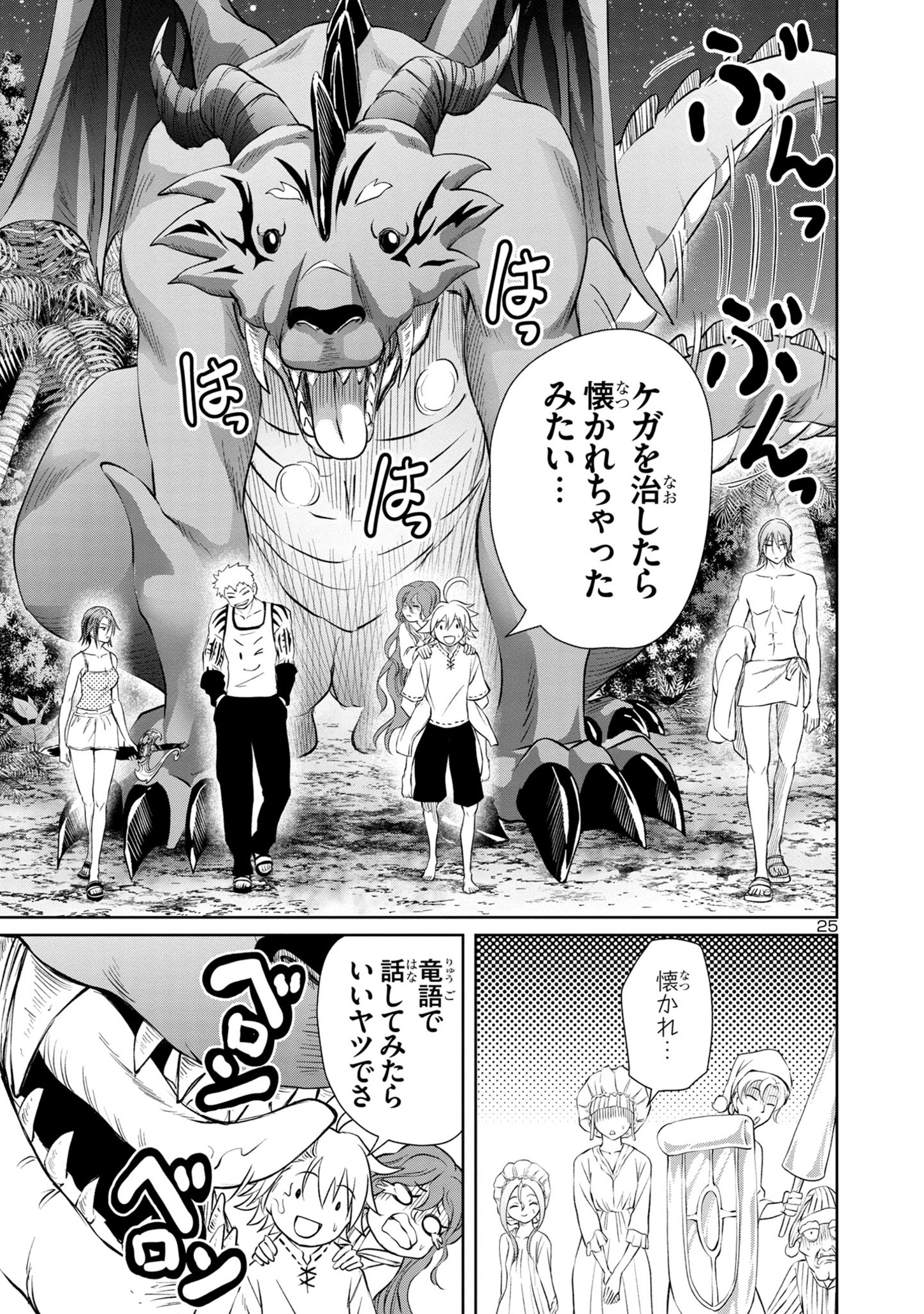 Page 25